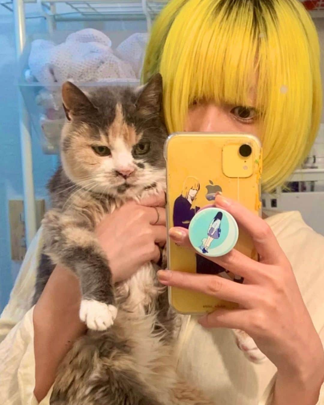 フクザワさんのインスタグラム写真 - (フクザワInstagram)「おせち #cat」2月18日 21時23分 - fuku_zawa