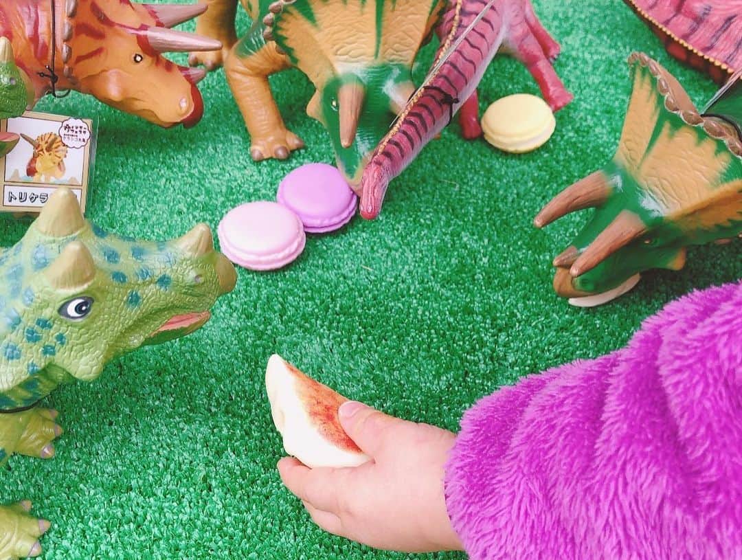 中野美奈子さんのインスタグラム写真 - (中野美奈子Instagram)「クラシコ丸亀に遊びに行きました！ 時々開催されるイベントを毎回楽しみにしてますが、この土曜日は恐竜🦕と餃子🥟フェスタ！！  子ども達は恐竜の遊びに夢中♡大人はラーメンと餃子に夢中♡ 小雨でしたが、こたつに入って暖をとったり、会場を歩く恐竜に興味津々👀  早めに行くと恐竜グッズももらえますよー。 明日はあいにくの雨ですが、キッチンカーが来て美味しいものいっぱいのようです。  恐竜好きでもそうじゃなくても子供が楽しめるイベントですよ♪  @clasico_marugame  #クラシコ丸亀 #住宅展示場イベント  #恐竜グッズ  #餃子専門店  #パスタ生地の餃子が絶品  #餃子のおもちゃを恐竜にあげる娘 #癒される #子連れあそび   #中野美奈子」2月18日 21時48分 - minako_nakano.official