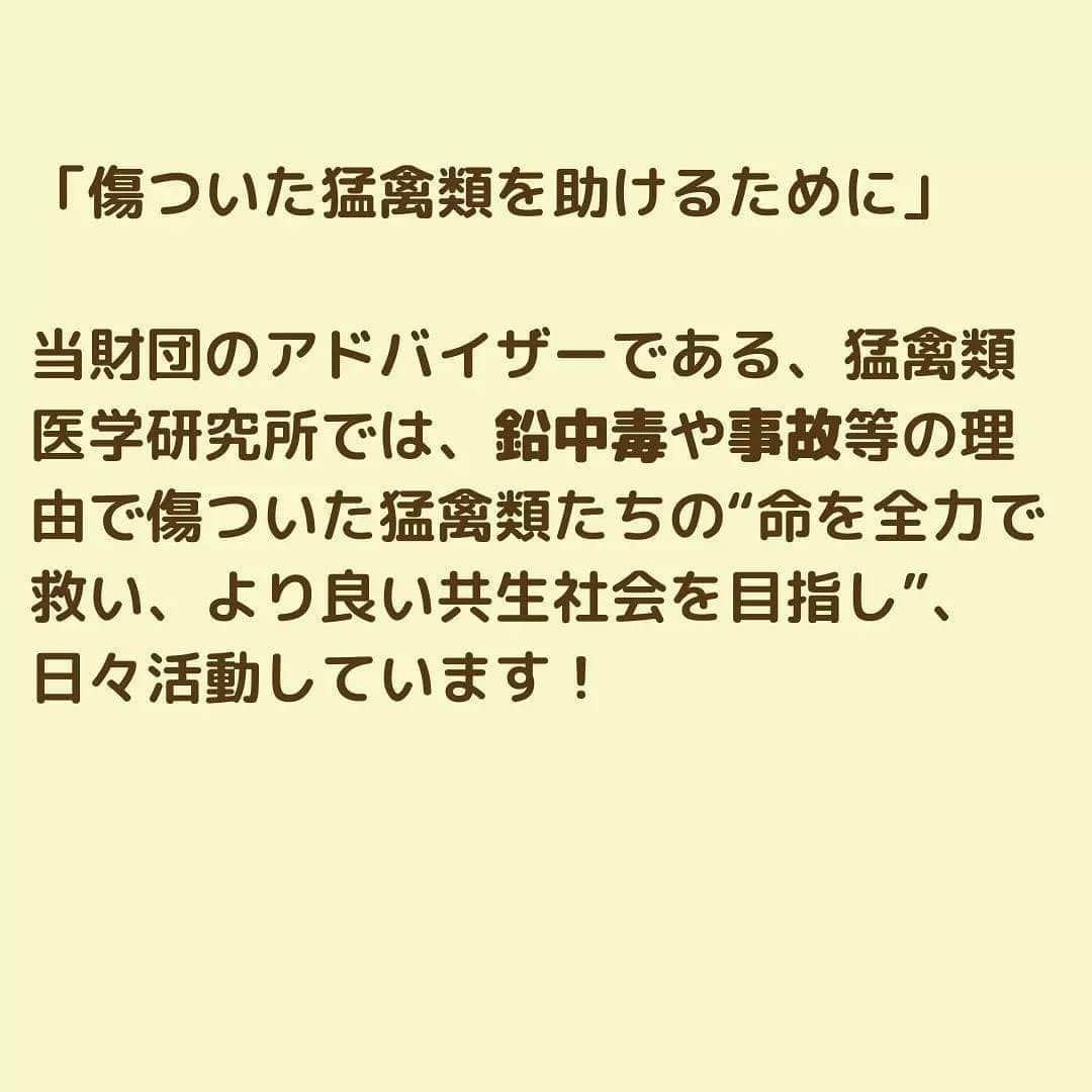 滝川クリステルさんのインスタグラム写真 - (滝川クリステルInstagram)「財団で支援している猛禽類医学研究所の クラウドファンディング、今日23時までです。是非みなさんのお力添えをお願いします🙏 人災で傷ついた野生動物を治療し、野生に戻したり、終生飼育をされています。 財団からはドクターカーを寄贈させてもらったり啓発のお手伝いをさせてもらっています。 生態系の頂点にいる絶滅危惧種の野生動物に思いやりをわけてください🙏 生態系の頂点の野生動物を失うと自然界のバランスが崩れ、今ある自然をどんどん失っていくことにもなるんです。  よろしくお願いします🥺 レディーフォー　クラウドファンディング ↓ https://readyfor.jp/projects/IRBJ2?fbclid=PAAaZ9xEWZ6WNeK7PjXAz0q4ilGC5DVwPFuc7xwnZcEmN0JgDHv0dV0ut9MFA #猛禽類医学研究所 #斎藤慶輔 #クラウドファンディング #今日23時まで #ドクターカー #クリステル財団 #人災の一つである鉛中毒 #他には列車や車や風車での衝突事故など #@keisuke.saito.irjb」2月19日 18時14分 - christeltakigawa