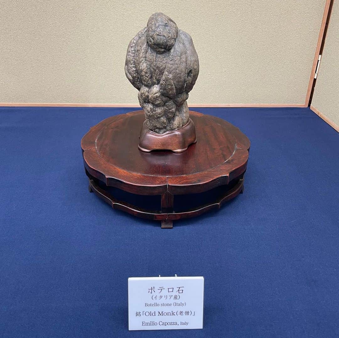 とよた真帆さんのインスタグラム写真 - (とよた真帆Instagram)「私の趣味に "水石"すいせき、というものがあるのですが先日、上野の美術館で行われた水石展に伺いました✨  水石は盆栽と並び８００年以上の歴史があると言われており日本の伝統文化と言えます。 戦国の武将が戦いに行く際に水石を持って行き飾って心を落ち着かせいたという逸話がある石もあります。  名家に代々伝わる石は歴史的に有名な方が歌をよみ、絵を描き、価値が出ていったものも。  ただそこにあった石に美しさを見出し愛でて情緒的な心で見つめる文化は日本ならではだと思います。  河原や山、海などで見つけた自然石を洗い、育ててしつらえ、台座を作り様々な情景に見立て表現する世界です 展示されたほとんどが天然の石なんですよ  地球の一部である石、それに悠久の時を感じながら心の旅をする、といった感じです。  私の水石歴はもう１５年くらいになるでしょうか、、子供の頃から水晶の原石が好きだったので石好きは生涯に渡って、、と言えるかもしれません😂  そして、この度とても素敵なご縁を頂き水石の雑誌 "愛石"5月号から連載をさせて頂くことになりました！  まさに水石の雑誌。前から拝読していましたがまさか、連載とは！ 色々な方や場所に取材も行きますのでとても楽しみです。  是非、水石にご興味のある方は "愛石"手にとってくださいませ。  @elsa2162   ↑写真にタグ付けもしておりますが、こちらをタップして愛石のページに行っていただきHPに詳細が書かれています  是非、奥深い水石の世界をご覧下さいませ🙇‍♀️🪨  #愛石  #水石  #すいせき  #石  #aiseki  #連載  #suiseki」2月20日 20時46分 - maho_toyota