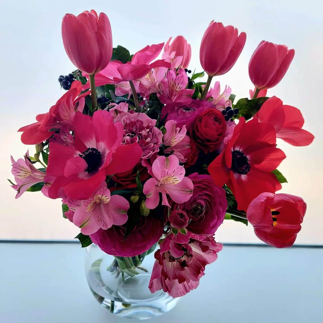 津野瀬果絵さんのインスタグラム写真 - (津野瀬果絵Instagram)「. 今年のお誕生日は赤いお花を貰いました💜どこから見ても可愛くてキレイ🌷癒されます。笑顔の多い１年になりますように。 . . #お誕生日#お花#flowers#可愛いお花をありがとう❤️」2月20日 21時01分 - kaetsunose