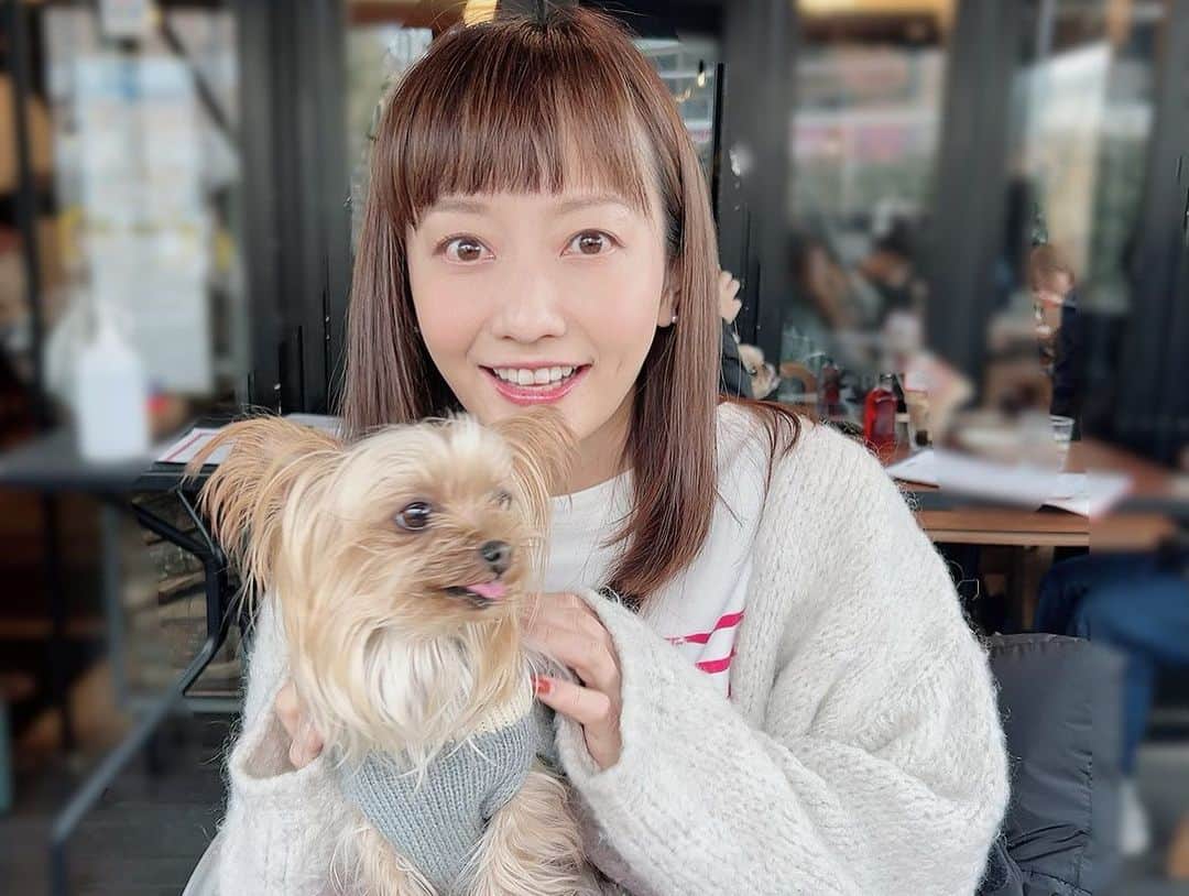 島本真衣さんのインスタグラム写真 - (島本真衣Instagram)「いつも私を癒してくれます🐾 少し前の写真です🤍  #犬スタグラム  #いぬすたぐらむ #犬のいる暮らし  #ヨークシャテリア #ヨーキー  #大好き #アンジュ #7歳 #優しい 性格 #3枚目  #私が何か話しかけていますね #おやすみなさい #明日も #頑張りましょう #島本真衣 #私服」2月20日 23時09分 - mai_shimamoto_ex