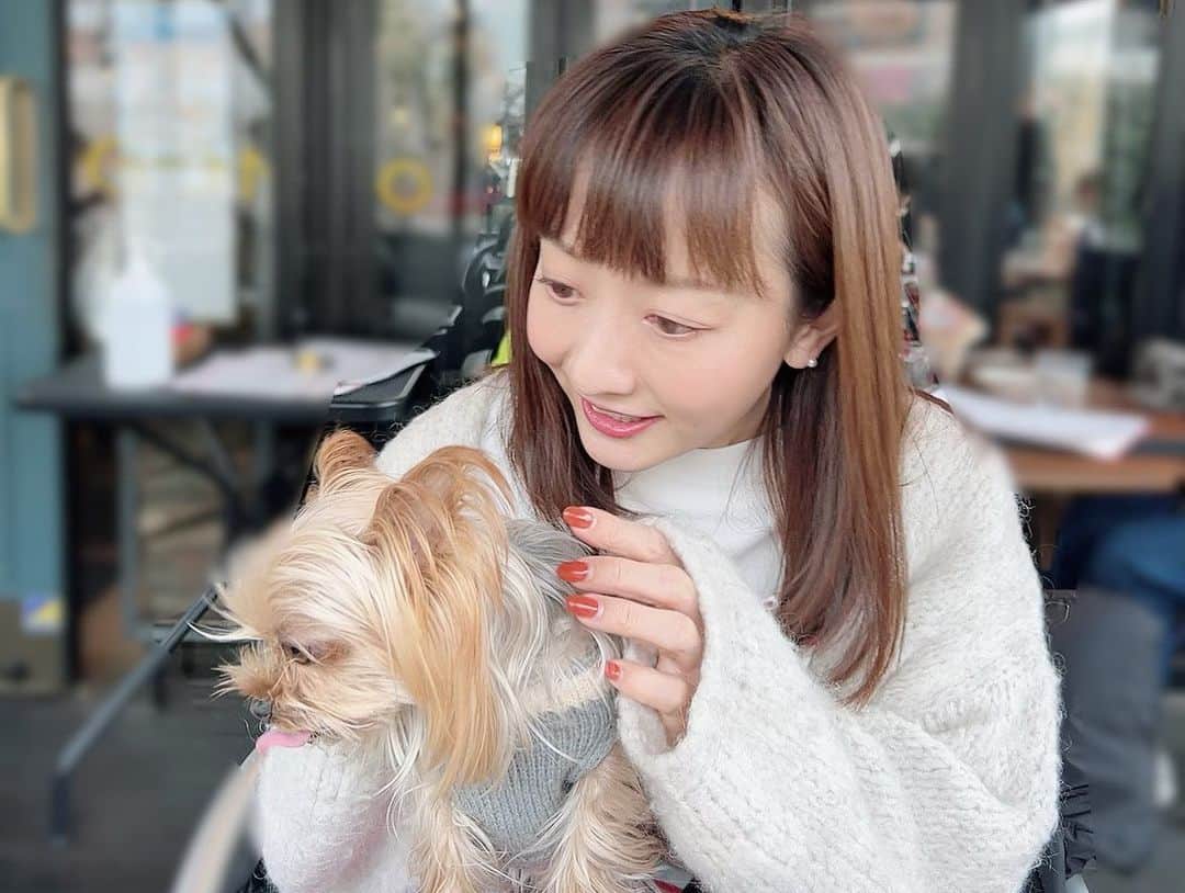 島本真衣さんのインスタグラム写真 - (島本真衣Instagram)「いつも私を癒してくれます🐾 少し前の写真です🤍  #犬スタグラム  #いぬすたぐらむ #犬のいる暮らし  #ヨークシャテリア #ヨーキー  #大好き #アンジュ #7歳 #優しい 性格 #3枚目  #私が何か話しかけていますね #おやすみなさい #明日も #頑張りましょう #島本真衣 #私服」2月20日 23時09分 - mai_shimamoto_ex