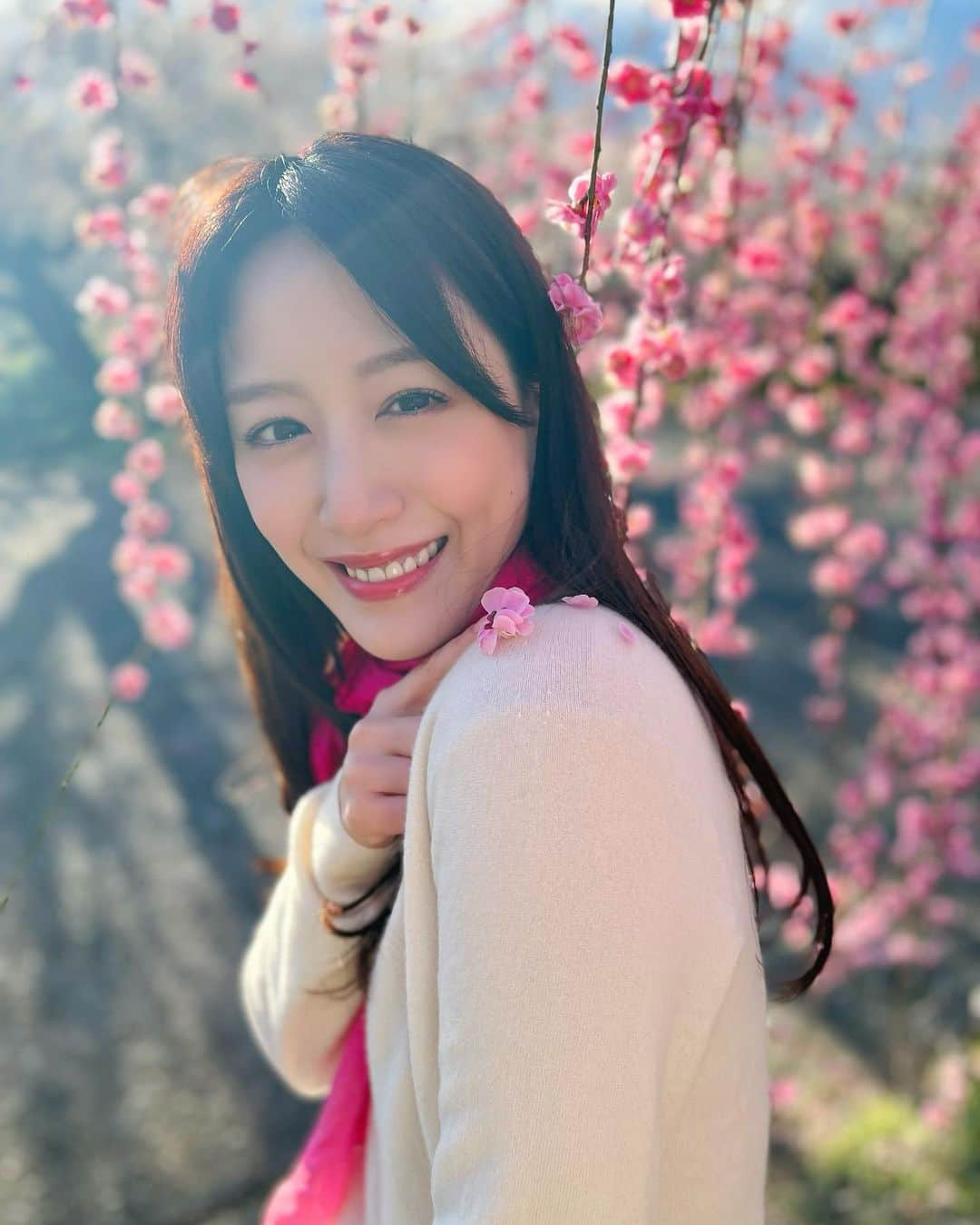 花乃まりあさんのインスタグラム写真 - (花乃まりあInstagram)「. 今朝は見頃の梅を生中継📽  朝日に照らされる梅の花☀️ 澄んだ青空とのコントラストが本当に綺麗で思わずコートを脱いだら、肩に春が降ってきました🌸 . #ZIP!#梅#梅の花#梅まつり#曽我梅林」2月21日 8時25分 - mariakano_official