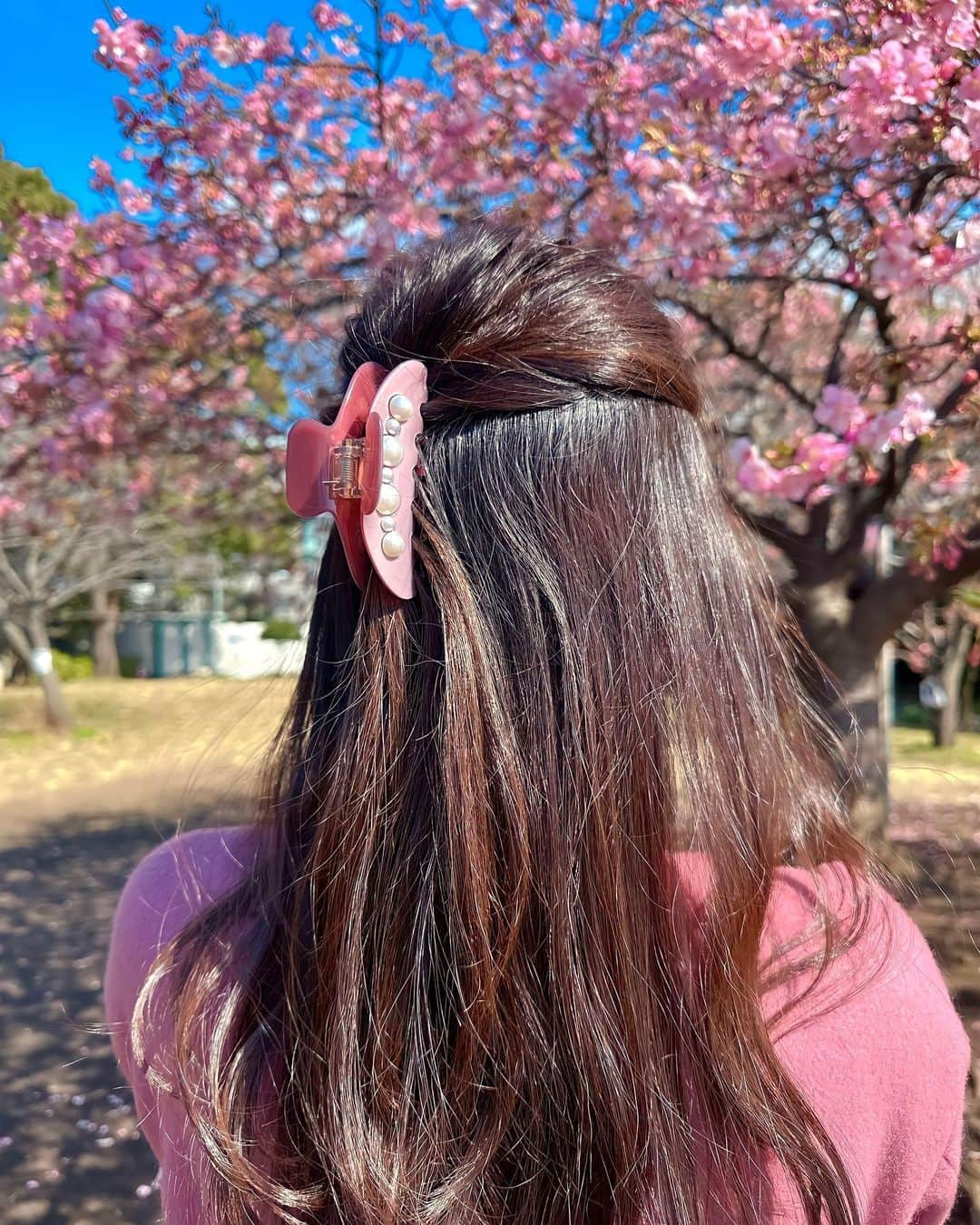 加藤瑠美さんのインスタグラム写真 - (加藤瑠美Instagram)「🌸🌸🌸  河津桜が咲き始めていた🌸 去年も同じ場所で写真を撮っていたのだけど 子どもたちがすーごく成長していて感動しちゃった👦🏻👧🏻 満開になるの楽しみだなあ💓  パールが可愛いヘアクリップは @chapeaud_o のもの🤍 子連れだと必ず持ち歩いていて 写真を撮る時以外はアップにしています💞  #年子ママ#東京ママ#男の子ママ#女の子ママ#年子育児#年子ママ#年子兄妹#子連れお出かけ#都内子連れスポット#河津桜#桜#お花見」2月21日 18時20分 - katorubi