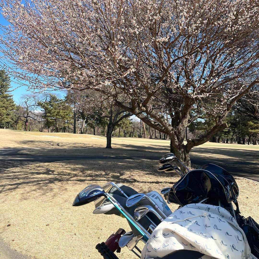 葉月里緒奈さんのインスタグラム写真 - (葉月里緒奈Instagram)「ランチはお決まりミートソース。 これ大好き！　 #ゴルフ#平日ゴルフ#千葉カントリークラブ #千葉カントリークラブ川間コース #ゴルフ場ランチ #ミートソースパスタ #ミートソーススパゲティ #rionahazuki」2月21日 19時17分 - riona_hazuki