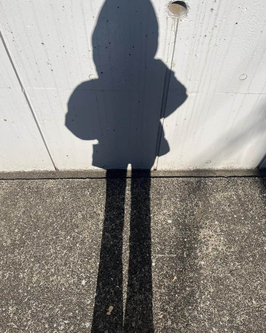 加藤美佳さんのインスタグラム写真 - (加藤美佳Instagram)「本日寒すぎて意味わかりませんでした。 ３枚目は自撮りしてる途中に影を見たらアニメに出てきそうな絵の影をしてたので思わず撮ってみました。 こちらからは以上です💁‍♀️ （あ〜本当に寒かった😭😭😭😭」2月21日 20時22分 - katomika1212