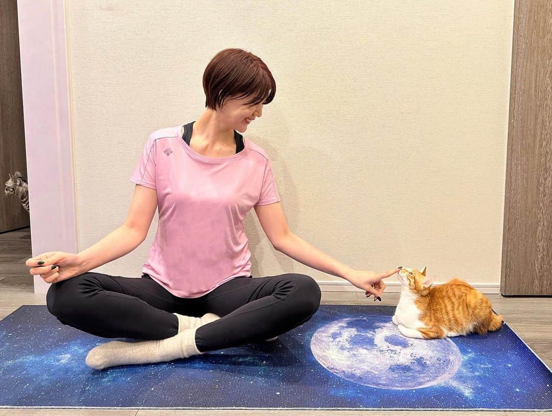 栗原恵さんのインスタグラム写真 - (栗原恵Instagram)「. #猫の日 だから？ 我が家の福がずっとトレーニングを監視してきます😼笑  そして今日もデサントのウェアでトレーニング！ @descente_jp」2月22日 9時14分 - megumi_kurihara_official