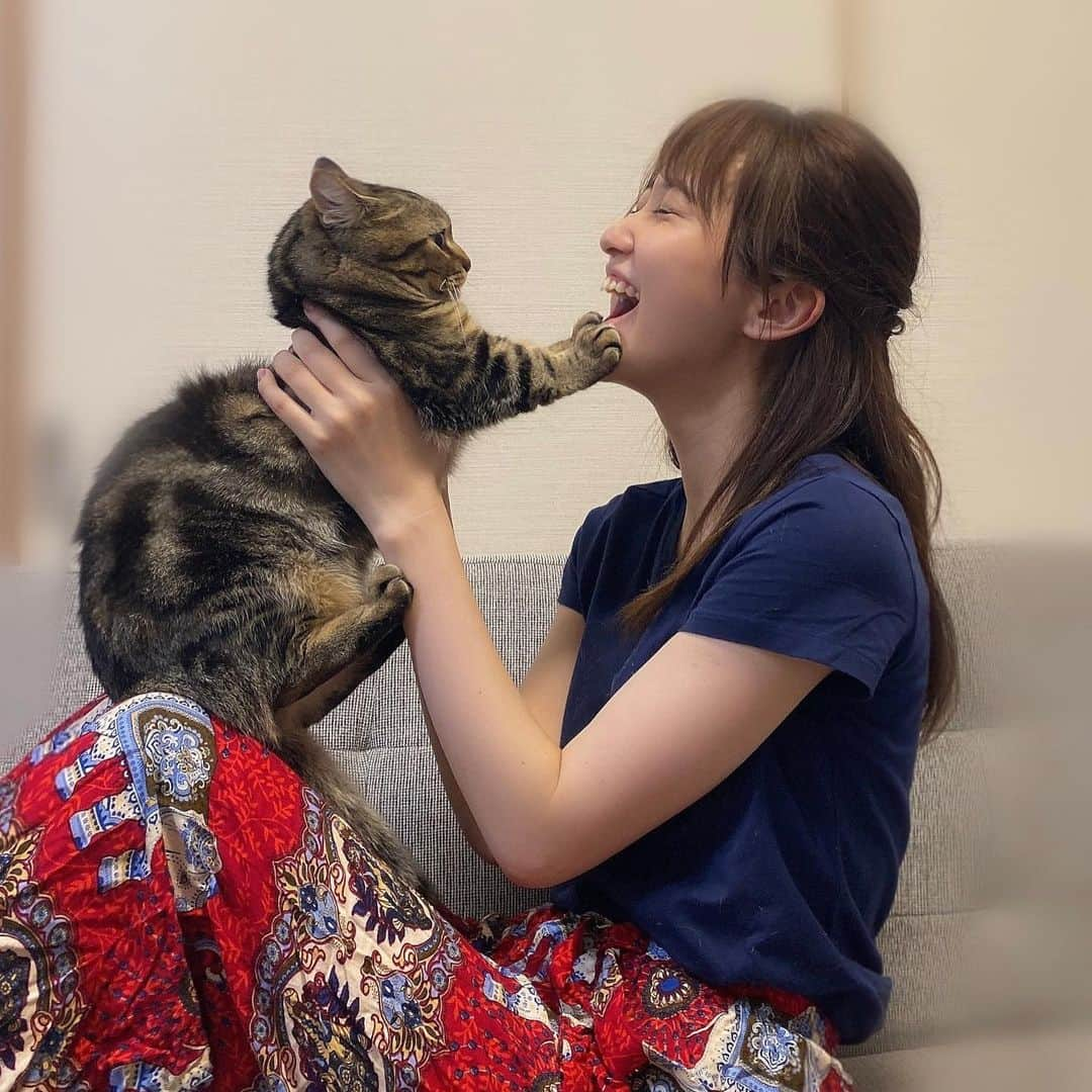 佐々木舞音さんのインスタグラム写真 - (佐々木舞音Instagram)「. . 今日は猫の日🐈 . 猫という生き物は可愛すぎる！！！全ての猫ちゃんに感謝です🤍笑 . てちたんは超気まぐれのツンデレ美男子です(親バカ) . #猫の日#ねこすたぐらむ #ねこのいる生活 #にゃんすたぐらむ #2月22日#にゃん  .」2月22日 17時17分 - sasakimaine