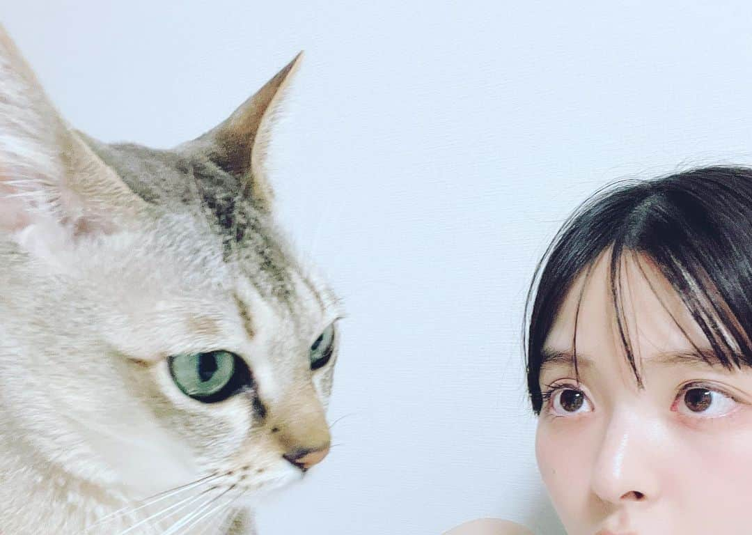 上坂すみれさんのインスタグラム写真 - (上坂すみれInstagram)「ね！こ！の！日！ですね！ あなたにも偉大なるねこパワーをお裾分けしてさしあげましょう！  #メロウくん」2月22日 21時10分 - uesaka_sumire