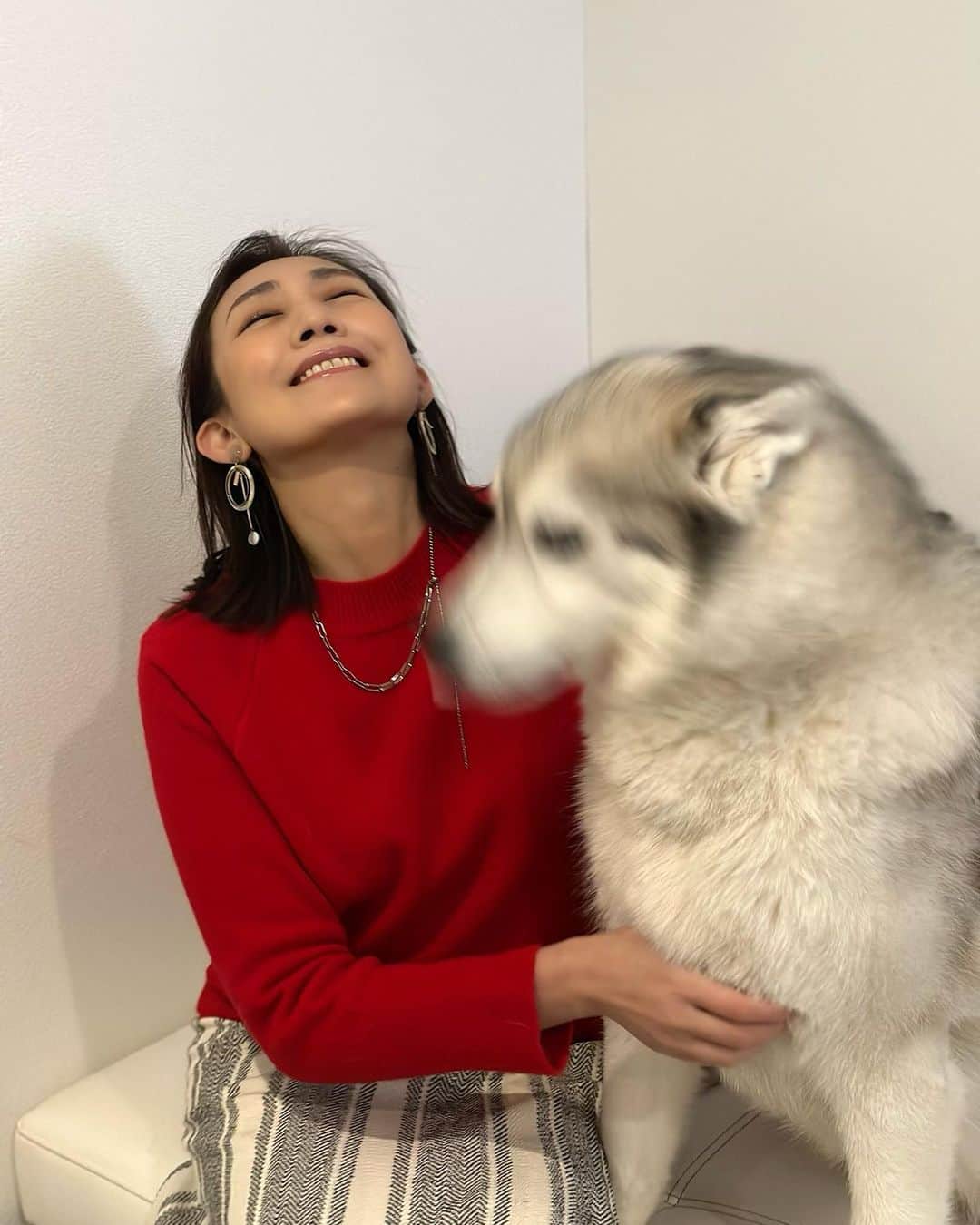 田中美里さんのインスタグラム写真 - (田中美里Instagram)「久しぶりに逢ったタオくん。 可愛くて癒された。  @bokutao   #癒し #もふもふ #ハスキー犬  #友人のわんこ」2月23日 9時03分 - misatotanaka77