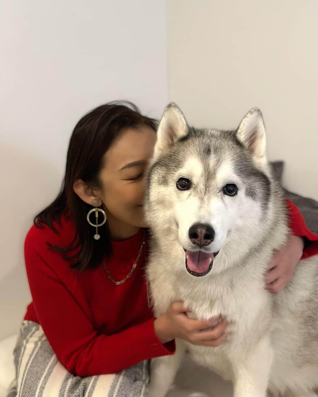田中美里さんのインスタグラム写真 - (田中美里Instagram)「久しぶりに逢ったタオくん。 可愛くて癒された。  @bokutao   #癒し #もふもふ #ハスキー犬  #友人のわんこ」2月23日 9時03分 - misatotanaka77
