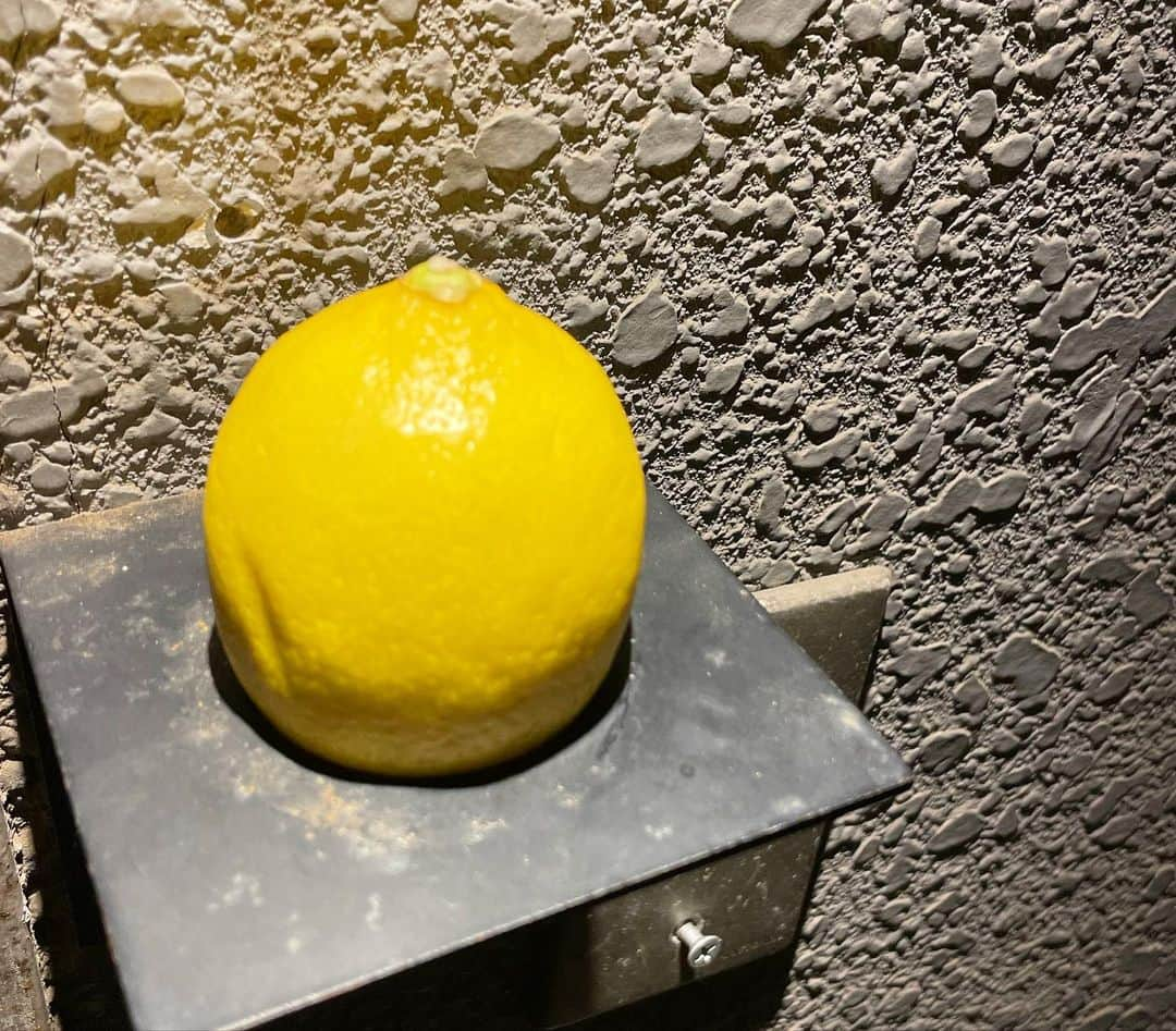 田中律子さんのインスタグラム写真 - (田中律子Instagram)「恵比寿にある、隠れ家イタリアン「Lemon」🍋  年末にこの4人でご飯してたときに、伊達さんが　@kimiko.date  レモンに行きたい🍋と言い出して、その場で予約して2月に行ってきました🍋  オマール海老フライとレンズ豆のタルタルソースが絶品すぎて、半熟卵とお豆を混ぜ混ぜして自分でタルタルソースを作り、そこにエビフライを🍤付けて食べるんだけど、おかわりしたいくらい美味しかった❤️ 料理はどれもホントに美味しくて体に優しい感じ✨食材もシェフのこだわりがたくさん👏🏼 デザートのレモンのジェラートもさっぱり、さすが、レモン❗️  関さん、いつもありがとうございます🙏　@shunichiro_seki  マミさん　@mami_gambaru 伊達さん、また次のあのお店でね🍷毎回、会った日に次の予定を決める、食いしん坊チーム😂もう次が楽しみで仕方ない❤️  #lemon  #tokyo  #恵比寿  #隠れ家すぎて #入口がみつからない #檸檬 #食いしん坊  #ありがとう」2月23日 12時47分 - ri2kotanaka