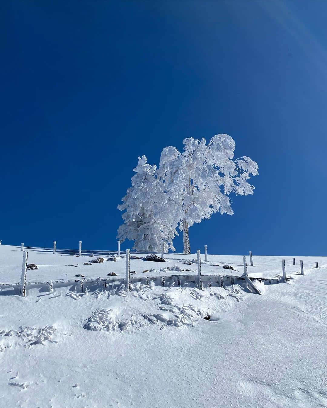 PyunA.(ぴょな)さんのインスタグラム写真 - (PyunA.(ぴょな)Instagram)「ゲレンデの写真載せたいの多すぎる🥹🤍まっしろしろの雪がキラキラしてて本当綺麗だった❄️  そういえばこの前、 @eyelash_chrissie でパリエクしてきたの🫶🏻 マツエクデザインは、Cカール　120本　11.12.11㎜だよ💙 今回のデザイン超お気に入りすぎ🥺担当は金作さんだよ😉  私のインスタ見たって言うと¥5,000以上の全メニューから1,000円引きになるみたいだから、公式LINEから予約してみてね🥰」2月23日 20時19分 - _000919_