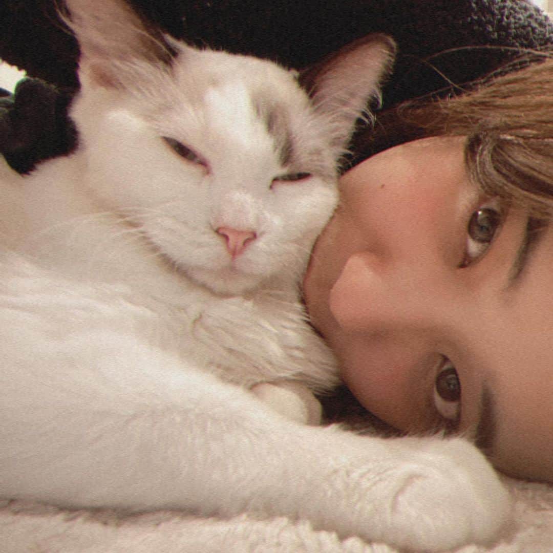 山崎紘菜さんのインスタグラム写真 - (山崎紘菜Instagram)「🐈‍⬛ 猫の日。。。 昨日だったのに。。。 更新できなかった。。。 うぅ。。。 #にゃんにゃんにゃんの日 #世界中の猫に幸あれ」2月23日 21時02分 - hirona_yamazaki