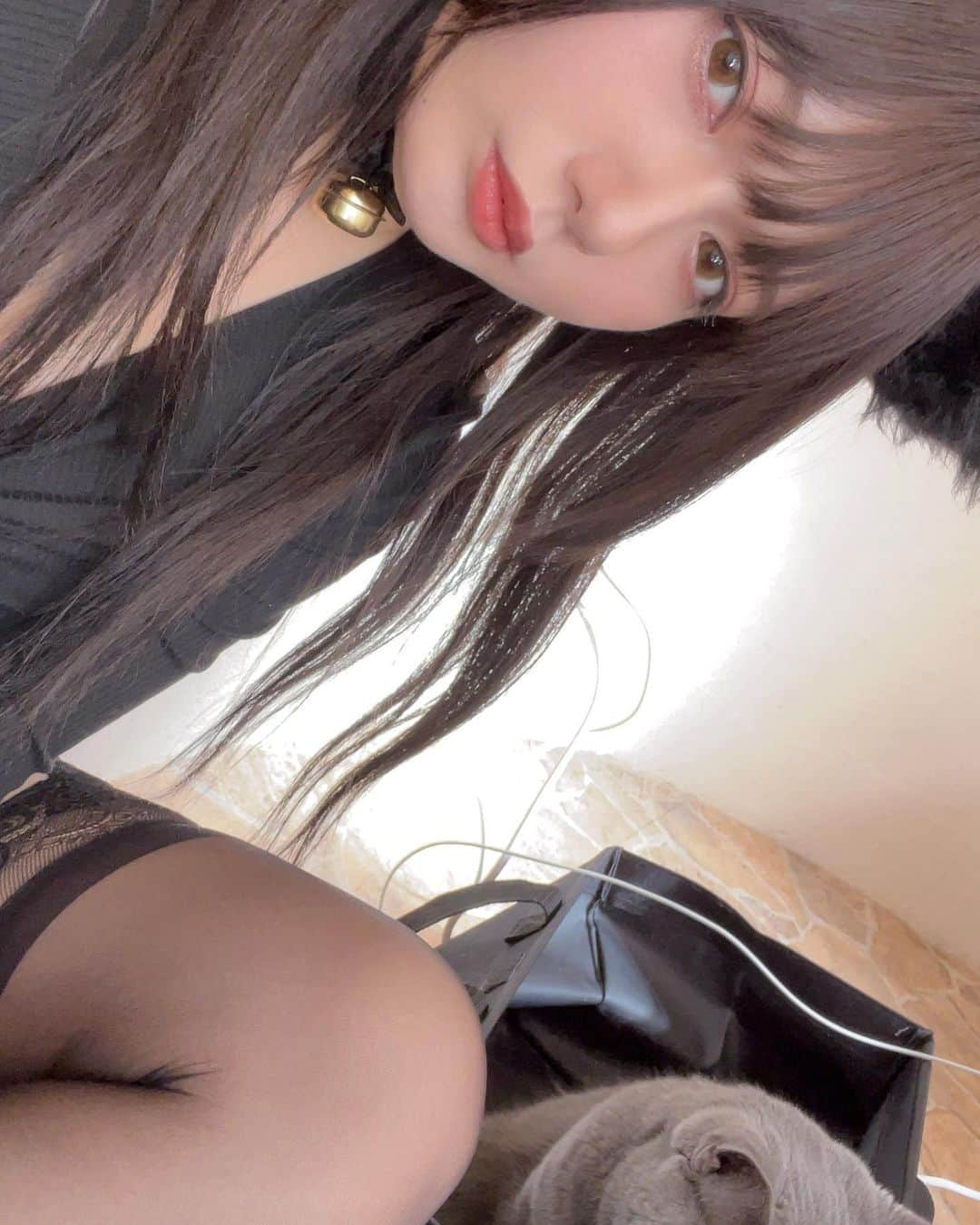 橋村依里南（泉屋アイナ）さんのインスタグラム写真 橋村依里南（泉屋アイナ）instagram 「猫カフェ撮影会😸 有難うございました💗