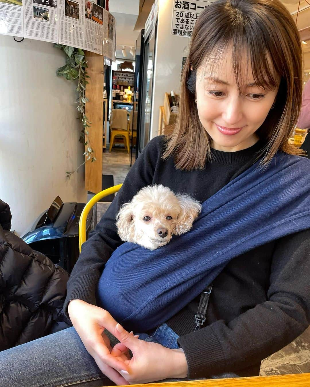 矢田亜希子さんのインスタグラム写真 - (矢田亜希子Instagram)「もなちゃんとブランチ😘 #愛犬#もなか#toypoodle #新生児ちゃんと同じ大きさ#ワンコは大きさは変わらない#息子はでっかくなっちゃったからね🥰#抱っこ紐大好き#本当に人間の赤ちゃんかと思う時あるw#癒し#もなちゃんはドッグフードを」2月24日 14時00分 - akiko_yada