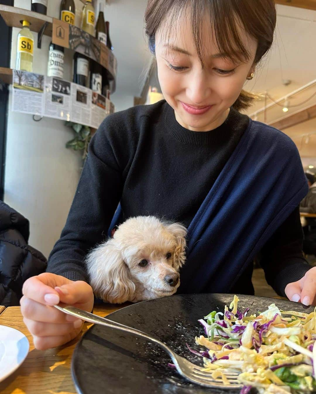 矢田亜希子さんのインスタグラム写真 - (矢田亜希子Instagram)「もなちゃんとブランチ😘 #愛犬#もなか#toypoodle #新生児ちゃんと同じ大きさ#ワンコは大きさは変わらない#息子はでっかくなっちゃったからね🥰#抱っこ紐大好き#本当に人間の赤ちゃんかと思う時あるw#癒し#もなちゃんはドッグフードを」2月24日 14時00分 - akiko_yada