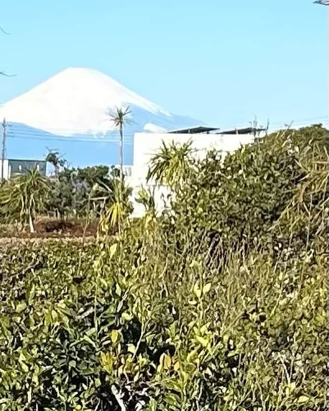 スパイスを効かせた鶏の胸肉とドライアプリコットのレシピ