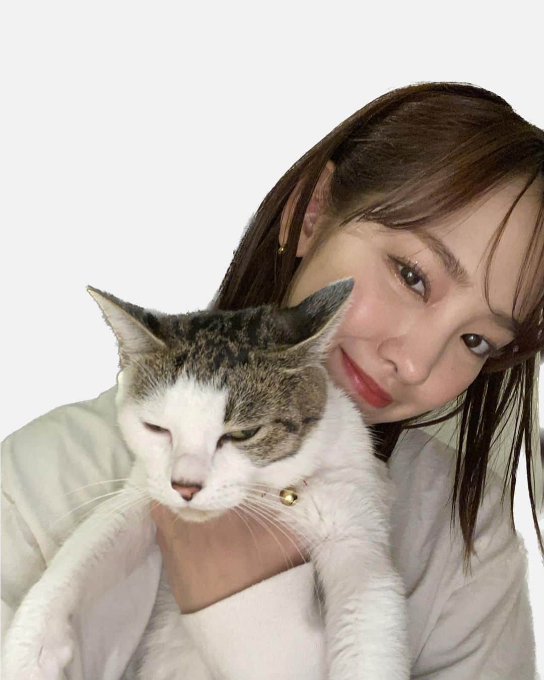 飯窪春菜さんのインスタグラム写真 - (飯窪春菜Instagram)「😐😑笑  #みーこ #cat #猫のいる暮らし #ねこすたぐらむ」2月26日 11時54分 - harunaiikubo_official
