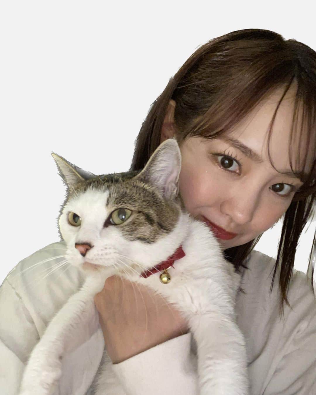 飯窪春菜さんのインスタグラム写真 - (飯窪春菜Instagram)「😐😑笑  #みーこ #cat #猫のいる暮らし #ねこすたぐらむ」2月26日 11時54分 - harunaiikubo_official