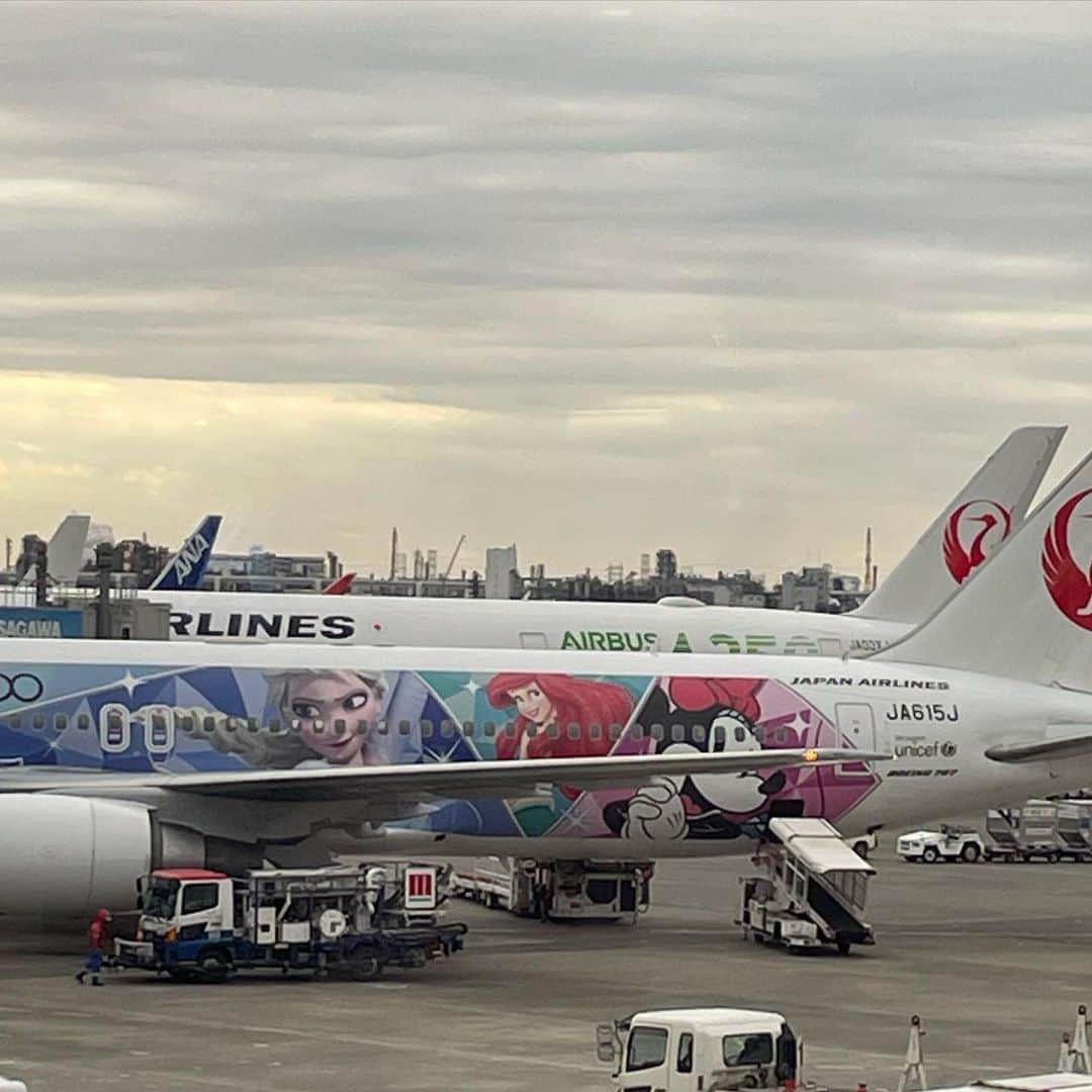 菊池桃子さんのインスタグラム写真 - (菊池桃子Instagram)「*  可愛らしい飛行機に乗った。 こういう特別企画は、 何歳になっても ときめくものだなぁ✨  #空の旅✈️」2月26日 16時54分 - momoko_kikuchi_official