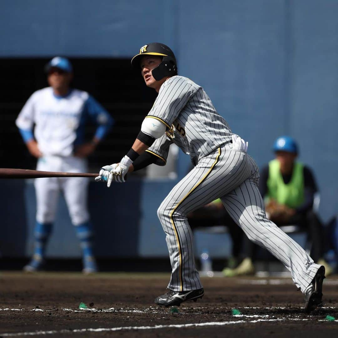 阪神タイガースさんのインスタグラム写真 - (阪神タイガースInstagram)「2月26日 日本ハム戦、本日の試合の様子です！ #井上広大 選手 #今岡真訪 コーチ #渡邉諒 選手 #原口文仁 選手 #森下翔太 選手 #佐藤輝明 選手 #ヨハンミエセス 選手 #西勇輝 選手 #浜地真澄 選手 #岡田彰布 監督 #新庄剛志 監督 #阪神タイガース  #宜野座キャンプ  #ARE」2月26日 18時30分 - hanshintigers_official