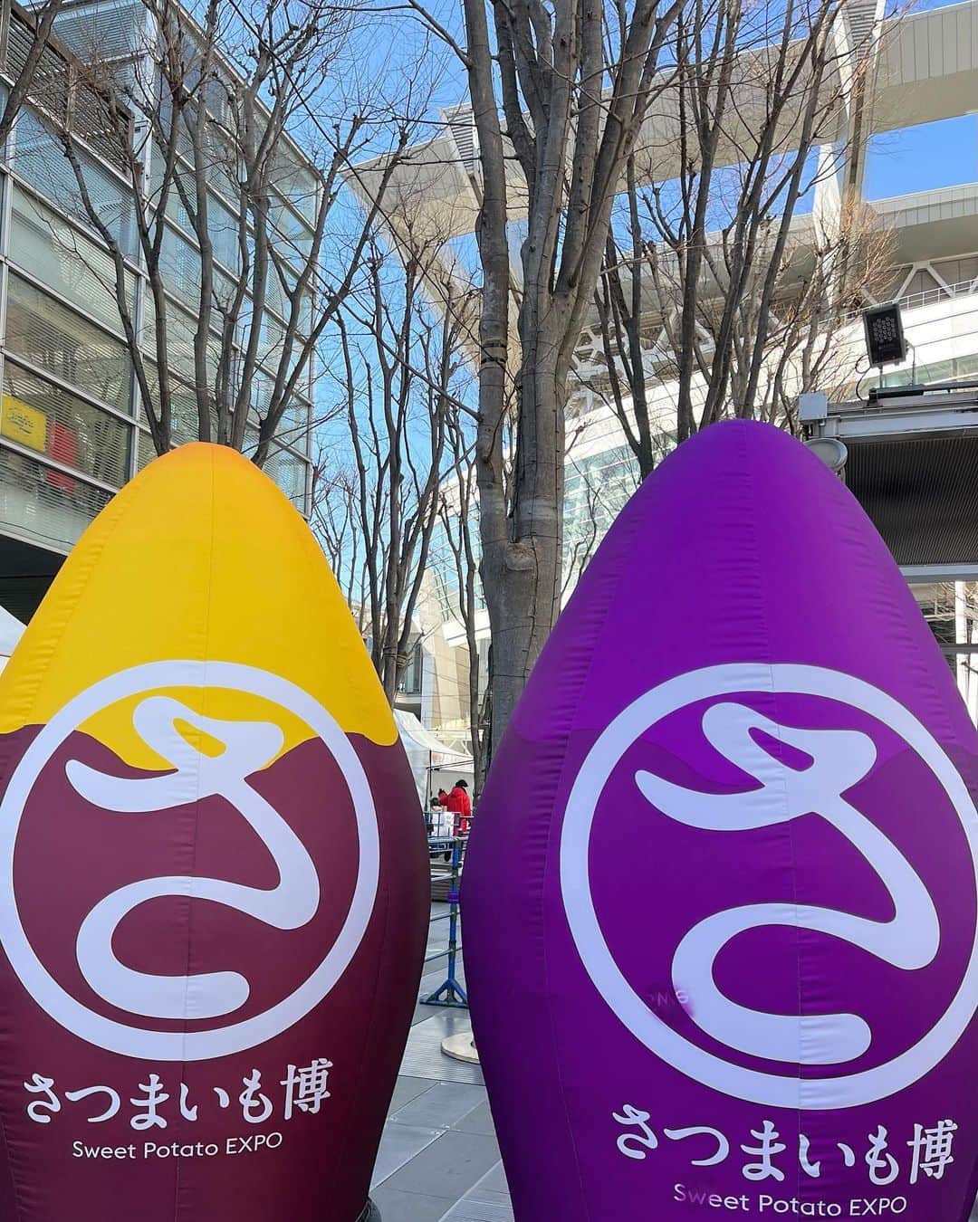高井千帆さんのインスタグラム写真 - (高井千帆Instagram)「⁡ さつまいも博2023🍠🍠🍠  ⁡ 記念すべき初参戦は私と同じお芋大好き お母さんとおばあちゃんと堪能してきました、、🤤幸 恐らくですが私の来世はやきいもだと思います」2月26日 21時43分 - chiho_takai_official