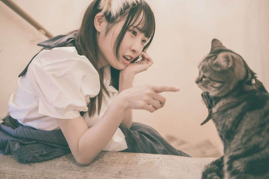 日下部ほたるさんのインスタグラム写真 - (日下部ほたるInstagram)「🐈  📷@fuuraibou_   #撮影会 #撮影会モデル #被写体 #被写体モデル #被写体希望 #model #portrait #idol #写真好きな人と繋がりたい #ポートレート好きな人と繋がりたい #カメラマンさんと繋がりたい #カメラマン募集 #写真撮ってる人と繋がりたい #ファインダー越しの私の世界 #ポートレート #写真部 #girl  #角色扮演 #偶像 #东京 #코스프레 #아이돌 #도쿄」2月27日 4時25分 - hotaru_kusakabe