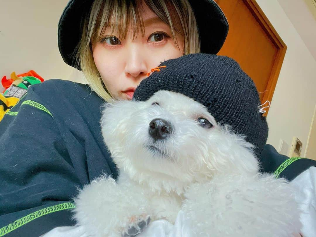 LiSAさんのインスタグラム写真 - (LiSAInstagram)「ネット通販でニット買ったら、小さすぎたから犬にあげた🐶 #よくある　#サイズ見て買うべき」2月27日 19時02分 - xlisa_olivex