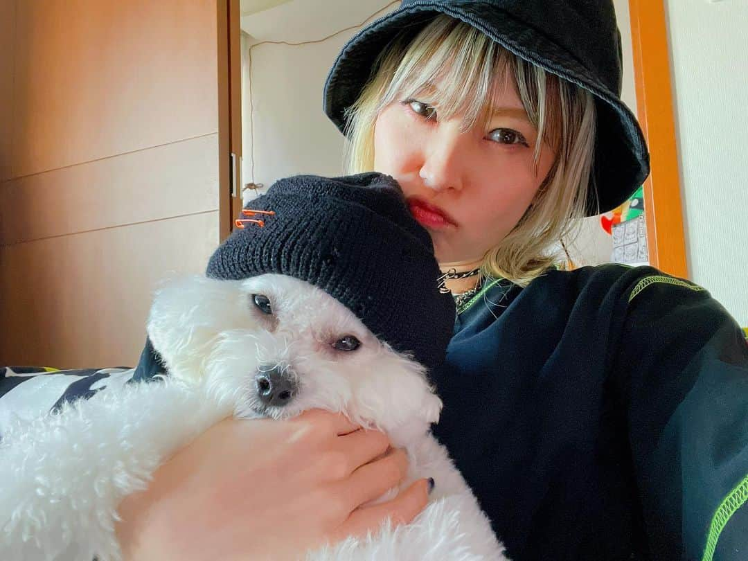 LiSAさんのインスタグラム写真 - (LiSAInstagram)「ネット通販でニット買ったら、小さすぎたから犬にあげた🐶 #よくある　#サイズ見て買うべき」2月27日 19時02分 - xlisa_olivex