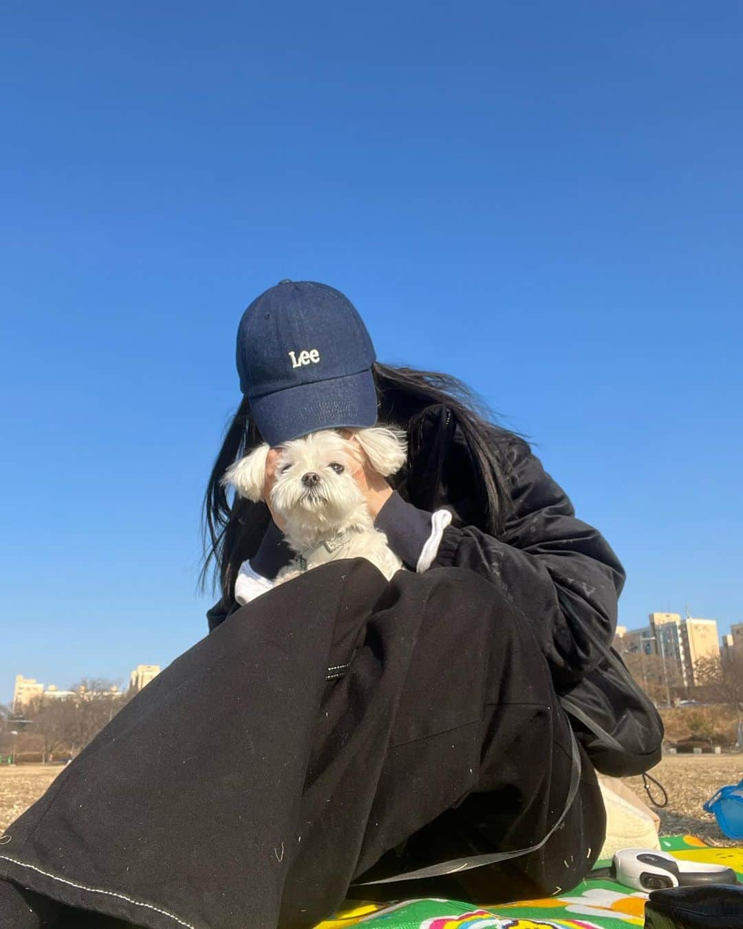 ソヒョンさんのインスタグラム写真 - (ソヒョンInstagram)「털뚱이 검정콩 세개🐶」2月28日 13時17分 - seojuhyun_s