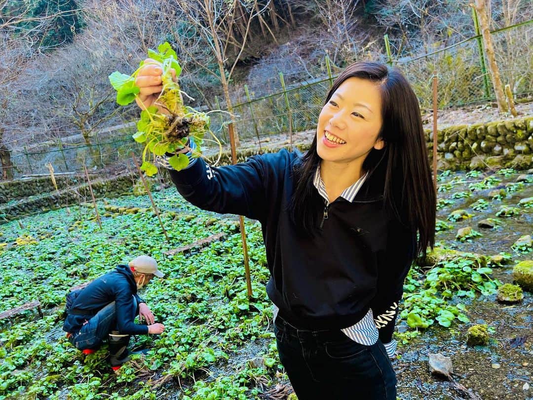 木村亜美さんのインスタグラム写真 - (木村亜美Instagram)「ロケで1日お山にいました。 新鮮ワサビを収穫したのは初めて！✨️  きれいだし美味しそう☘ ̖́-」2月28日 19時06分 - ami_kimura0327