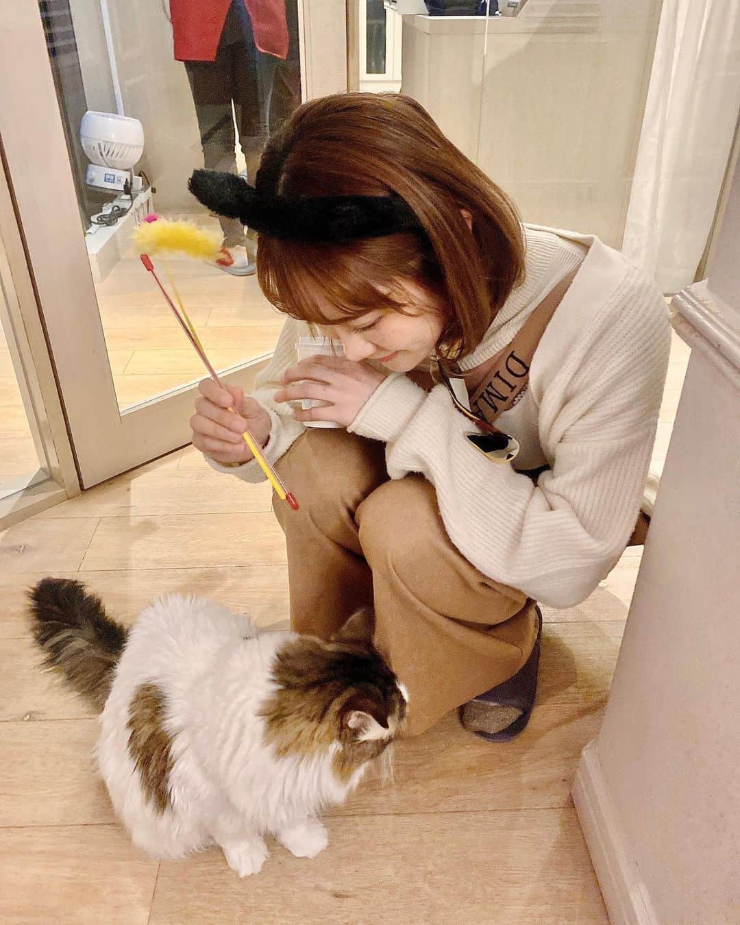 日向カンナさんのインスタグラム写真 - (日向カンナInstagram)「まったりゆったり〜な猫ちゃん達に会いに、猫カフェMOCHA渋谷センター街 @mocha.shibuya に遊びに行かさせてもらいました😽🌼 皆さんは、猫カフェって行ったことありますか？？  実家には保護猫が2匹（今は1匹です。）いたので、この猫ちゃんの自由〜な性格は、懐かしくもあり改めてまったり気分になりますね☺️💕  そして、スコティッシュやマンチカンなど、性格がおっと〜りした子が多かったので、お家でお茶をしながらゆっくり過ごしている感覚でした🌼  保護猫ボランティアをしていた時は、もっと激しめの子が多かったので、何だか気が抜けました🤭  カフェタイムをしに来ている方も多かったですよっ☕️  まだ1歳〜2歳の子は遊び盛りで、沢山私と遊んでくれましたよ〜🤭ふふ♡  昔、原宿店には行ったことがあったのですが、渋谷に2店舗あるなんて知らなくて、沢山の猫好きさんや海外の方が遊びに来ておりました🤗✨ 土日は、結構人が多かったので、沢山触れ合いたい方は平日がオススメですね♪  動物たちと触れ合って、心が軽く優しくなる瞬間って、実はすごく大切でありがたい時間だなって思います🌼  私もめぐにいつも、仕事でわたわたする心を癒してもらっています。  保護猫ちゃんや、お家がまだない猫ちゃんたちが、まったりゆったり住める猫カフェが増えるといいなぁ✨ @catcafemocha   #猫カフェmocha #猫カフェ #pr #渋谷猫カフェ #渋谷カフェ #猫好き #猫の日 #猫猫 #猫写真 #ボランティア #渋谷デート #渋谷 #おすすめ #癒しの時間 #幸せな時間 #まったり  #japaneasegirl #love #instagood  #japan #tokyo #大人可愛い #大人女子 #大人カジュアル  #インフルエンサー #ダンサー #タビジョ#笑顔が人を幸せにする #笑顔が一番  #ありがとう」2月28日 21時13分 - kanna_hinata