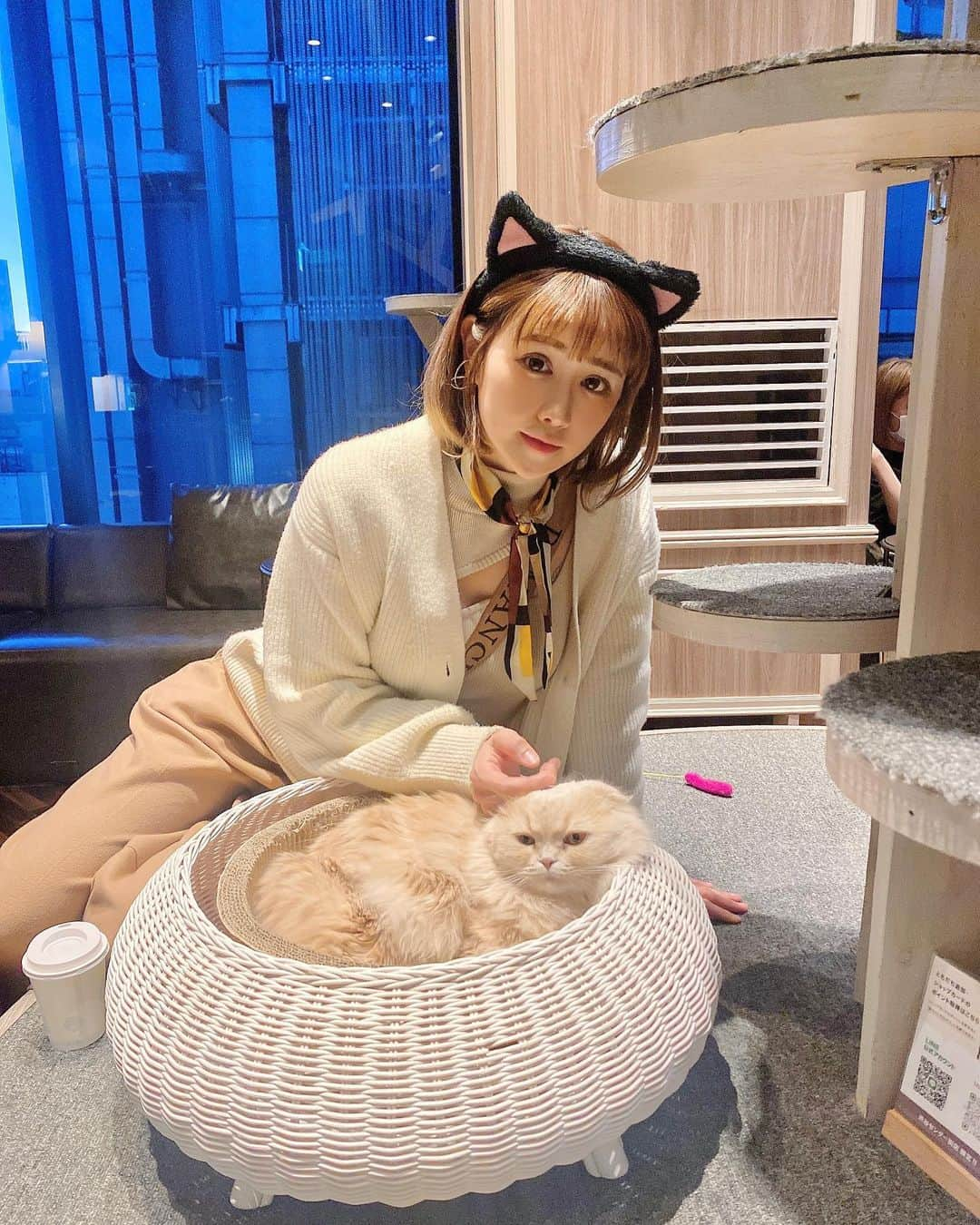 日向カンナさんのインスタグラム写真 - (日向カンナInstagram)「まったりゆったり〜な猫ちゃん達に会いに、猫カフェMOCHA渋谷センター街 @mocha.shibuya に遊びに行かさせてもらいました😽🌼 皆さんは、猫カフェって行ったことありますか？？  実家には保護猫が2匹（今は1匹です。）いたので、この猫ちゃんの自由〜な性格は、懐かしくもあり改めてまったり気分になりますね☺️💕  そして、スコティッシュやマンチカンなど、性格がおっと〜りした子が多かったので、お家でお茶をしながらゆっくり過ごしている感覚でした🌼  保護猫ボランティアをしていた時は、もっと激しめの子が多かったので、何だか気が抜けました🤭  カフェタイムをしに来ている方も多かったですよっ☕️  まだ1歳〜2歳の子は遊び盛りで、沢山私と遊んでくれましたよ〜🤭ふふ♡  昔、原宿店には行ったことがあったのですが、渋谷に2店舗あるなんて知らなくて、沢山の猫好きさんや海外の方が遊びに来ておりました🤗✨ 土日は、結構人が多かったので、沢山触れ合いたい方は平日がオススメですね♪  動物たちと触れ合って、心が軽く優しくなる瞬間って、実はすごく大切でありがたい時間だなって思います🌼  私もめぐにいつも、仕事でわたわたする心を癒してもらっています。  保護猫ちゃんや、お家がまだない猫ちゃんたちが、まったりゆったり住める猫カフェが増えるといいなぁ✨ @catcafemocha   #猫カフェmocha #猫カフェ #pr #渋谷猫カフェ #渋谷カフェ #猫好き #猫の日 #猫猫 #猫写真 #ボランティア #渋谷デート #渋谷 #おすすめ #癒しの時間 #幸せな時間 #まったり  #japaneasegirl #love #instagood  #japan #tokyo #大人可愛い #大人女子 #大人カジュアル  #インフルエンサー #ダンサー #タビジョ#笑顔が人を幸せにする #笑顔が一番  #ありがとう」2月28日 21時13分 - kanna_hinata