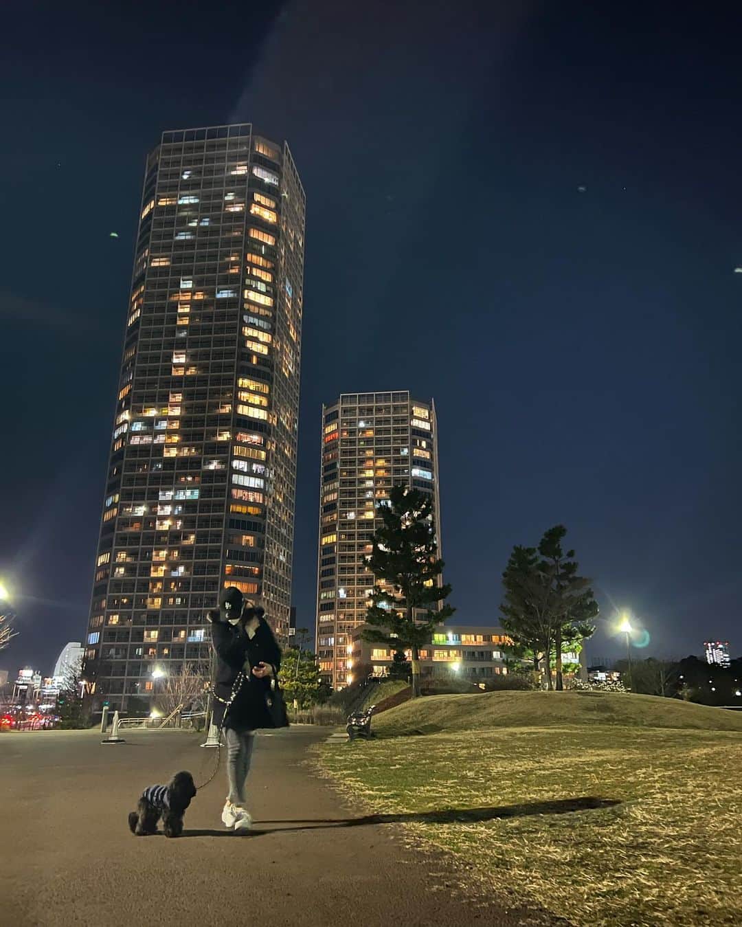 神部美咲さんのインスタグラム写真 - (神部美咲Instagram)「よる散歩🖤  みみちゃん階段クリア できました🥰🥰  #愛犬」2月28日 22時44分 - jimbu_misaki