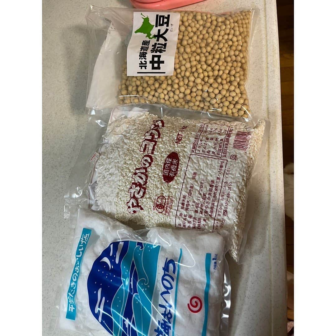 滝沢ななえさんのインスタグラム写真 - (滝沢ななえInstagram)「久しぶりの【ハニ飯🍴】 ハニ飯とは？ 滝沢のパートナーである ハニさん(@hani_hani1101)が作ってくれるご飯のこと。  この日のご飯は ・麹漬けの鶏ささみ ・大根のピクルス ・自家製味噌のおみそ汁 ・大根葉を使ったふりかけの混ぜご飯 こんな感じでした！  この日のハニ飯のすごいところは… なんといっても… ハニママの自家製味噌のおみそ汁の美味しさ！ これはすごい！👏  ⚠️ハニママはハニさんのお母さんのこと  ちなみに大根もハニママの育てた 完全オーガニックな大根！ (ハニママ趣味で畑やってます😲)  いやはや… 手間ひまかけてじっくり作った自家製味噌。 手間がかかってるだけある👏 味が濃いのってなんの！ 余計なもの入ってないし ナチュラルで安心安全。  と、いうわけで 2月にハニさんが実家に帰省したときに ハニママに味噌作り教室を開いてもらって 作り方を伝授してもらってました！👏  ハニさんが2月に作った味噌は 発酵させて年末の帰省のころに食べられるかな〜 という感じらしい！！！  ハニママに手作り味噌教室を開いてもらえないか お願いしてみようかなと思うくらいでした(笑)  #ハニ飯 #家庭料理 #手料理 #自家製味噌 #自炊」3月1日 16時48分 - nanaetakizawa