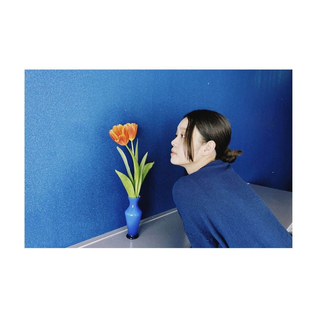 高石あかりさんのインスタグラム写真 - (高石あかりInstagram)「色の中では、青が一番好きです。  壁と花瓶と服までもが青という画面青だらけの写真になりました。  ウキウキで、パシャリ。  #Blue #青 #チューリップ」3月1日 21時11分 - a_akari1219