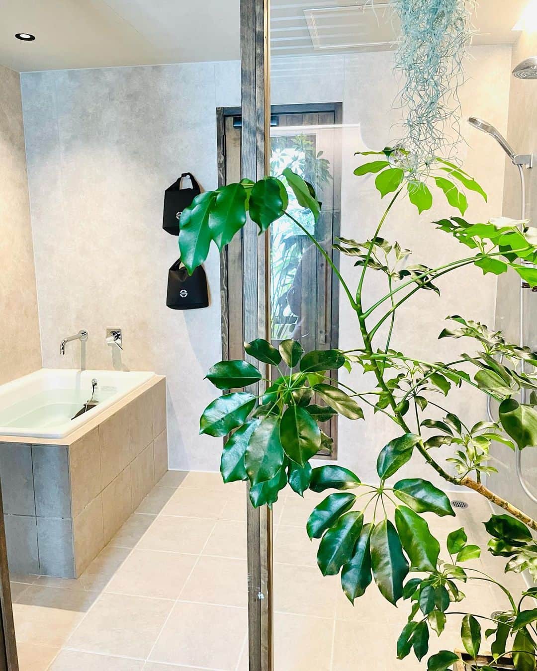 松田唯花さんのインスタグラム写真 - (松田唯花Instagram)「心身整うサウナ🧖‍♀️✨ 蔵前にある『SAUNA&co』  サウナーのあやのちゃんが都内にある中で激推し！って言っててどんなものかと思ったら...オアシスだった🤤🌿  天然の植物に囲まれて森林浴気分🌳空間がオシャレすぎるのよ🥺✨  お部屋の広さもちょうど良くて、サウナ入ってすぐにシャワー浴びて水風呂入って、パッとととのいスペースに行ける。すんごい整った😇ふわ〜ってした(サウナ行く人なら分かるよね、この感覚？🧖‍♀️)  サウナはちょっと暗めでセルフロウリュもついてて、かなりパワフル！10分くらいでだいぶ汗ダラダラ💦 これを4セットくらい3人で入ったよ🧖‍♀️  タオルも髪ゴムもソープもスキンケアもドライヤーも全部完備されてるから手ぶらでOK🙌✨  朝イチ行ったからこの日はずーっと身体がポカポカで全然冷えなくて気持ちよかったぁ☺️  また行きたいサウナ🧖‍♀️💕 あやのちゃんお誘いありがとう🥰 @ayano.nitt  @alice346_  @saunaand_   ちなみにこの日『CAROME.』のアイライナーとマスカラを塗っていったんだけど、なんと汗ダラダラになった4セットのサウナにも耐えました。全然落ちなかった‼︎ 2022年 #ゆいコス ベスコスに入れたのは間違いじゃなかった。  本当にすごすぎ。一生使います。 @carome_official  @darenogare.akemi   #saunaandco #sauna #bodycare #skincare #kuramae #carome #サウナー #サウナ #蔵前サウナ #蔵前 #都内サウナ #東京サウナ #ボディケア #スキンケア #サウナ好きと繋がりたい #カロミー #落ちないメイク #プチプラコスメ #落ちないマスカラ #落ちないアイライナー #サウナメイク」3月1日 23時26分 - yuika_matsuda.official