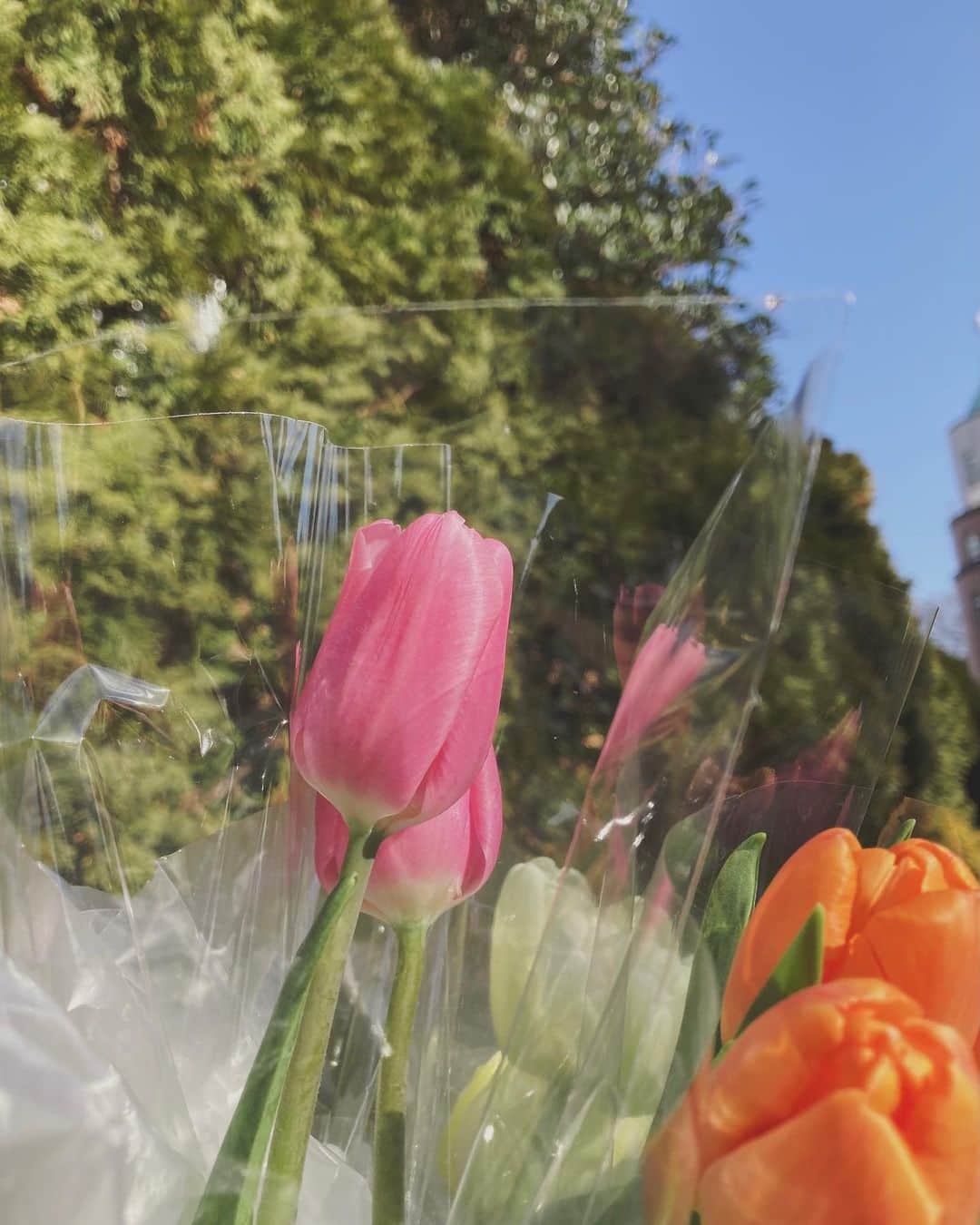 藤木由貴さんのインスタグラム写真 - (藤木由貴Instagram)「気分が良くてお花買いました🌼 . 明日から暖かくなりそうで、 ダウン着るのは今日で最後かな？ . #3 #march」3月3日 15時41分 - yuki.grm