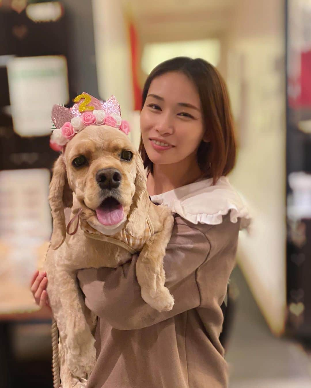 横町ももこさんのインスタグラム写真 - (横町ももこInstagram)「💖  3月3日🎎🌸  我が家の長女🐾ぬぴちゃんの2歳のお誕生日🐶🎂  お姉さんになって、 環境の変化についていけなくても 頑張ってくれているぬぴちゃん😌🐾  いつだって、 どんなことがあったって、 私たちの大事な宝物だからね💖  長生きしてね🐶❤️  愛してるよ❤️❤️❤️  #3月3日 #2歳 #お誕生日おめでとう #happybirthday #令和3年3月3日  #333 #ひな祭り #ぬぴすたぐらむ  #いぬすたぐらむ #アメリカンコッカースパニエル  #アメコカバフ #赤ちゃんと犬のいる暮らし  #ブロガー #インフルエンサー #横町ももこ」3月3日 20時03分 - momochadayo