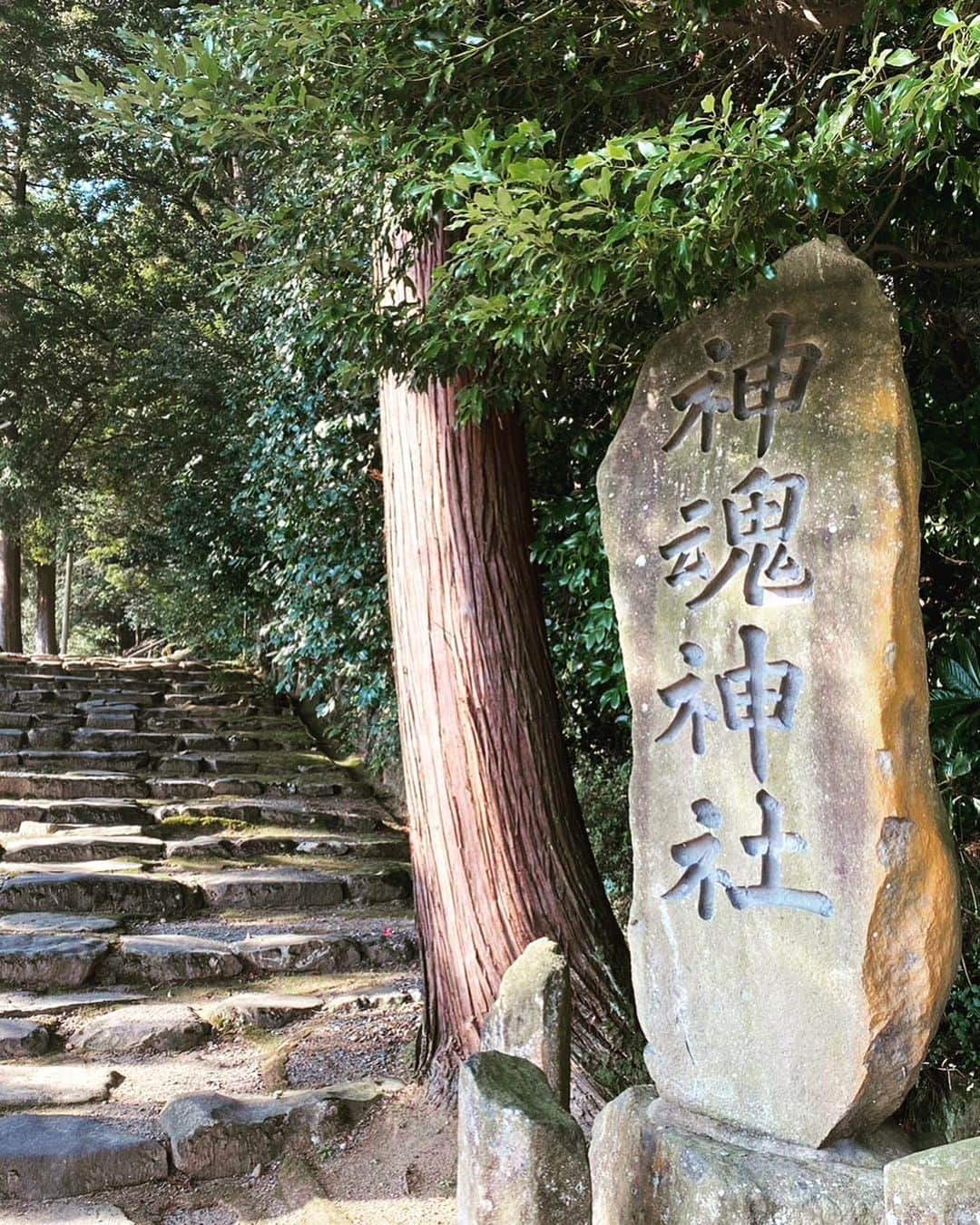 前田典子さんのインスタグラム写真 - (前田典子Instagram)「ギュッと詰まって充実した 1泊２日の出雲旅でした #神社巡り⛩#温泉♨️#お城と #5060喜んで のコース😆 出雲は到着した瞬間から 気がいい👍と凄く感じました✨  道中の車内ミュージックは #竹内まりあ　さんの曲しばり 島根旅にぴったり👍 ご実家の竹野屋は前を通過　🚗  前の投稿にアップしましたが宿泊は #玉造温泉♨️の#界玉造　 チェックイン前にお散歩  #玉造温泉神社⛩へ #湯薬師広場  で沸いているお湯で手を洗ったら手がスルスルになってびっくり‼😳️ 玉造のお湯は最高👍✨✨✨ #美肌の湯でお肌スベスベ   玉湯川のサイドウォークには足湯もあり♨️ #まがたま橋💚  2日目は朝から 出雲大社と並ぶ出雲国の大社として 知られていて由緒ある #熊野大社　⛩にお参り #稲田姫　の #櫛のお守りを 主人に買ってもらいましたよ☺️  誕生日プレゼントw😅  そして 日本最古の大社 #神魂神社 ⛩にもお参りしました🙏 本殿は室町時代初期に作られた国宝です✨ 華やかさはありません 厳かな感じがします  ご朱印帳、3冊目は 出雲大社でゲット👍 ネイビーに金の雲が渋ちぃ👌  行き帰りは JALさんお世話になってます🔴　 飛行機からビューティフォーな富士山🗻が よく見えました  #マエノリ旅　 #出雲旅#銀婚式旅行  #夫婦のご縁を授けてくれた神様 #ありがとうございます❤️」3月3日 22時43分 - maenorichang