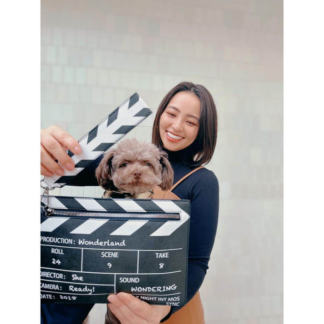 水崎綾女さんのインスタグラム写真 - (水崎綾女Instagram)「主演俳優　🌰 助監督🎬水崎綾女  シーン9、カット2、テイク8 よーい、アクション。  #🌰 #dog #movie  #🎬」3月3日 23時21分 - misakiayame