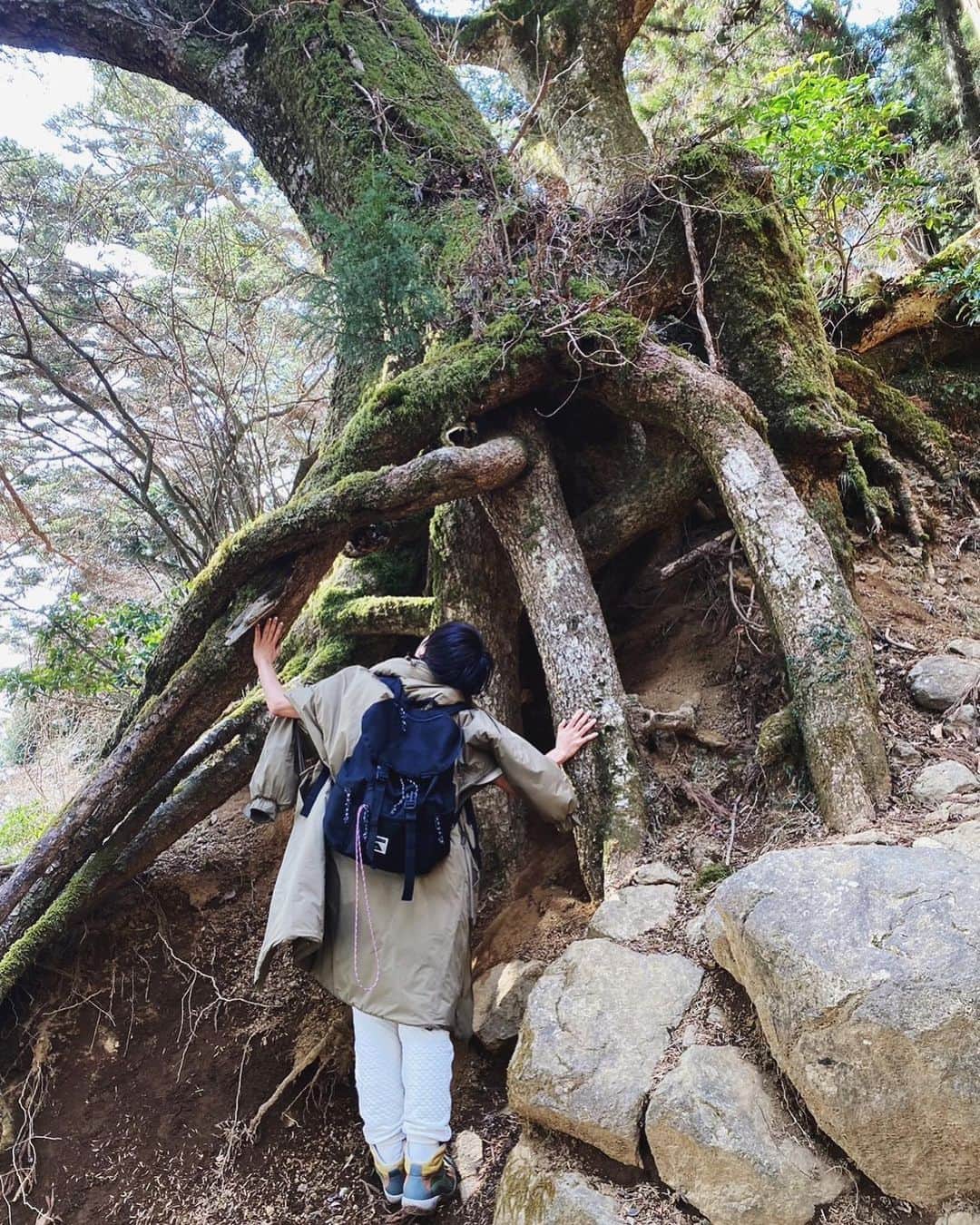 早坂香須子さんのインスタグラム写真 - (早坂香須子Instagram)「3月3日　桃の節句  師匠のyUKIさんからのお誘いで大山阿夫利神社へ。　@yukimake   メイクのMICHIRUさん　@barbiemichiru の完璧なナビゲーションにより、山頂登山、奥社参拝、温泉まで大満喫！ありがとうございました✨  おおよそ4時間の登山で脚とお尻はガクプルですが、到着時には曇っていた空が登山中に晴天になり、冷たい空気の中をTシャツで歩く気持ちよさったら。  自然の中に身を置いて、久しぶりに師匠とゆっくり話し、木々たちと対話し、山頂でyUKIさんが朝握ってくれたおむすびを頬張り、温泉効果もあって深ーく蘇生した気持ちです✨  最高の10年の幕開けになりました🎊✨  yUKIさん、ありがとうございました！ これからの10年も、よろしくお願いします✨  #大山阿夫利神社 #パワースポット #とにかく気がいい #登山」3月4日 8時26分 - kazukovalentine