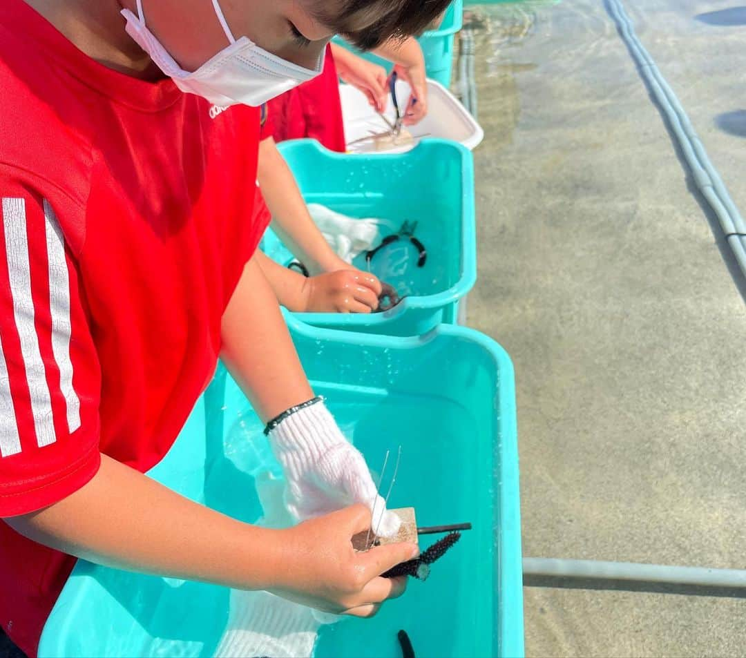 田中律子さんのインスタグラム写真 - (田中律子Instagram)「3月5日サンゴの日🪸🐠🌞  石垣島の子供たちとみんなで、サンゴのお勉強して、サンゴの苗作り体験をしました🪸 みんな頑張ってサンゴの苗を作ってくれたよー👏🏼👏🏼👏🏼 その後は、船に乗って⚓️港から約10分ほどにあるサンゴ養殖場へ、みんなの苗を植えに行きました🪸  ダイバーのみんなが、海の養殖場から、大きく育ったサンゴを持ってきて見せてくれたり、箱メガネで海の中を観察しました👀🤿  サンゴの日にこうして、みんなでサンゴのことを考えたり、サンゴの苗を作って、海のゆりかごである、サンゴ保全活動が開催出来ました🪸🐠🌞ご協力してくれたみなさま、朝から参加してくれたみなさま、ありがとうございました🙏  100年後の子供たちに、この海を残そう🪸  NPO法人アクアプラネット 理事長　田中律子 @aqua_planet35   #okinawa  #okinawalife  #savethecoral  #savetheocean  #npo法人アクアプラネット  #サンゴ保全活動  #海のゆりかご  #石垣島」3月5日 13時57分 - ri2kotanaka