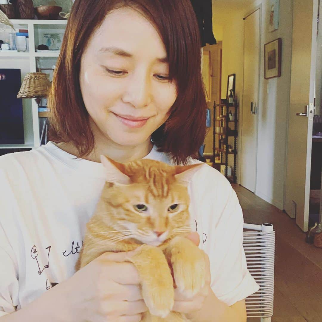 板谷由夏 さんのインスタグラム写真 - (板谷由夏 Instagram)「台風のように勢いよく 久しぶりに遊びに行ってきた。 早口でおしゃべりする私と ゆっくり話すゆり子。 由夏ちゃんは、あたしの返事を待ってくれない！ 夫婦だったら、離婚よ！と言われたが 夫婦じゃないので、気にしないで良かろう。 でも次回は、もう少しゆっくり喋るね、ゆり子。 雪は学校に行ってて会えず残念だったけど 王国のみなさんは元気でした。 こっちっちは、尻尾しか見れませんでした。」3月5日 18時05分 - yukaitaya