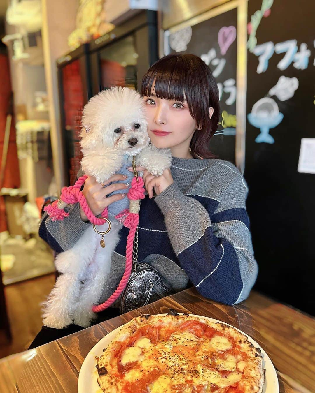 ききまるさんのインスタグラム写真 - (ききまるInstagram)「梅子と釜焼きピザ🍕 . ペット店内可なの嬉しい❤︎🐶 @giardinosavoymeguro  . あったかくなってきたしたくさん梅子とおでかけしたいな〜🌸 . .  @dazy_fashion . . . 今日までイベント中🌱 クーポンコード：「SSJP137」❤︎ . 商品ID：11912490  .  #SHEINDAZY#ootd#SHEINforAll#SHEINss23 #ad #pr  #shein購入品 #sheinおすすめ　#sheinクーポン」3月5日 18時25分 - kikigram_97