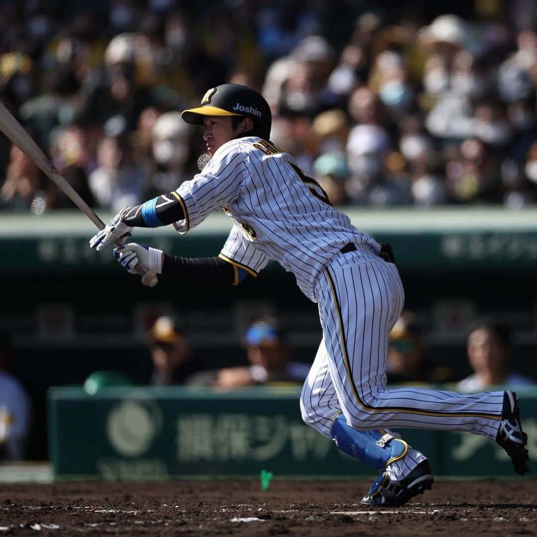 阪神タイガースさんのインスタグラム写真 - (阪神タイガースInstagram)「3月5日オリックス戦、本日の試合の様子です！ #井上広大 選手 #岡田彰布 監督 #近本光司 選手 #佐藤輝明 選手 #馬場皐輔 選手 #カイルケラー 選手 #加治屋蓮 選手 #石井大智 選手 #阪神タイガース  #ARE」3月5日 20時36分 - hanshintigers_official