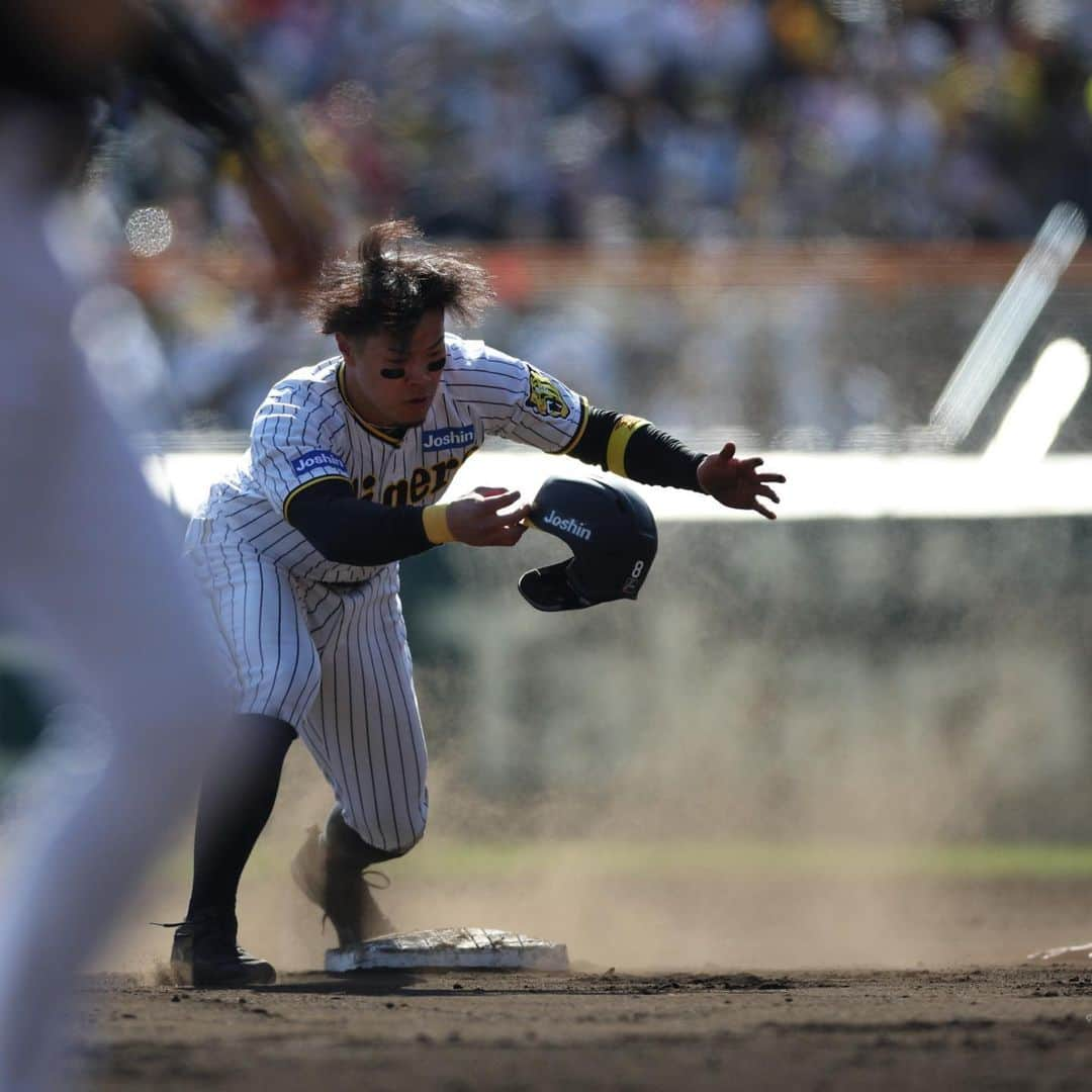 阪神タイガースさんのインスタグラム写真 - (阪神タイガースInstagram)「3月5日オリックス戦、本日の試合の様子です！ #井上広大 選手 #岡田彰布 監督 #近本光司 選手 #佐藤輝明 選手 #馬場皐輔 選手 #カイルケラー 選手 #加治屋蓮 選手 #石井大智 選手 #阪神タイガース  #ARE」3月5日 20時36分 - hanshintigers_official