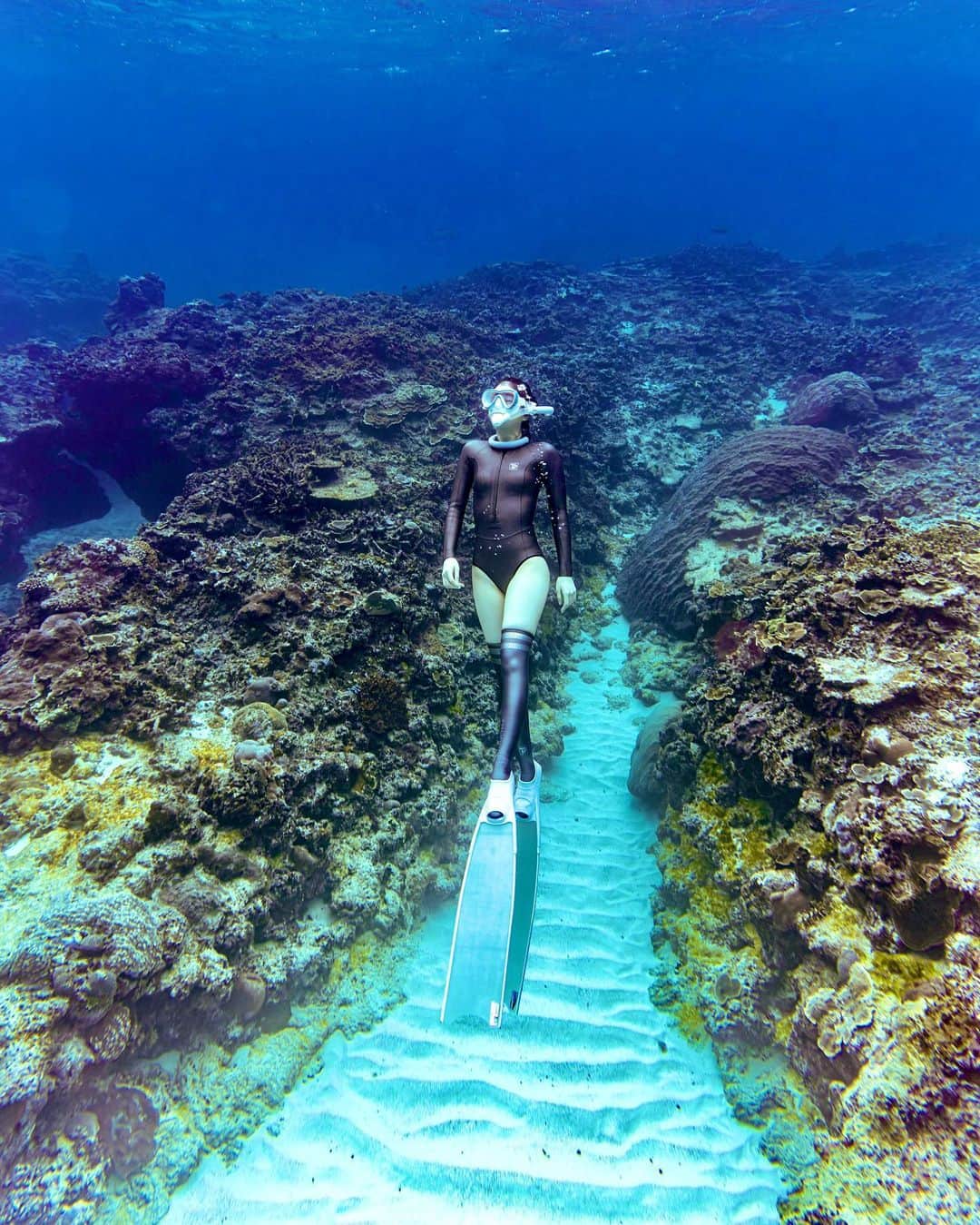 米山珠央さんのインスタグラム写真 - (米山珠央Instagram)「. 3/5は#サンゴの日 🪸 . 先日#ノータッチサンゴマナー を発信している @ecoguidecafe8787 との お仕事で宮古島に行ってきました！ 相変わらず、綺麗な海に癒される日々でした✨ 📸 @aiumi0926  🩱 @trudive_japan  . . . #ダイビング #ダイビング女子 #海コーデ  #宮古島 #宮古島ブルー #宮古島ダイビング #スキンダイビング #リーダーフィン #水中写真」3月5日 22時21分 - tamao_17no1